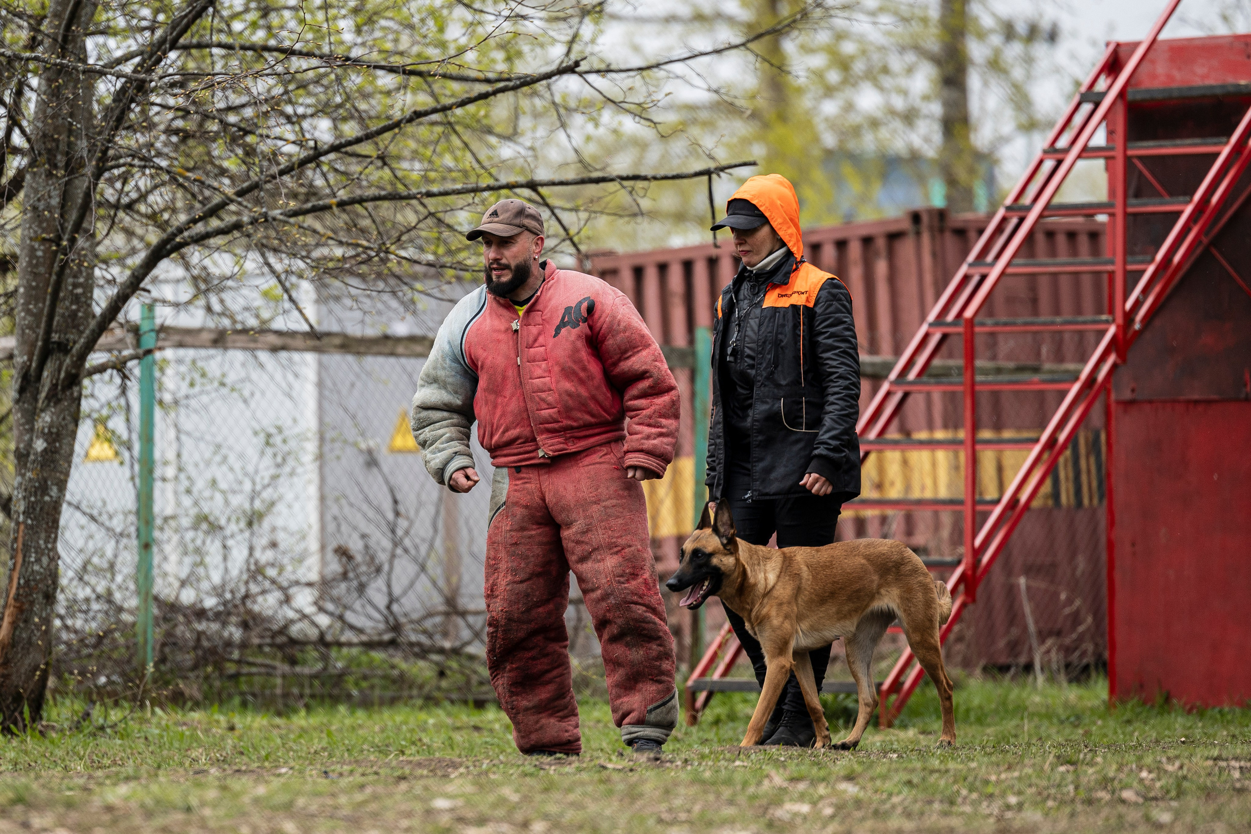 Квалификационные состязания по мондьорингу г. Вологда 11.05.24. Фотограф-анималист Анна Маринич