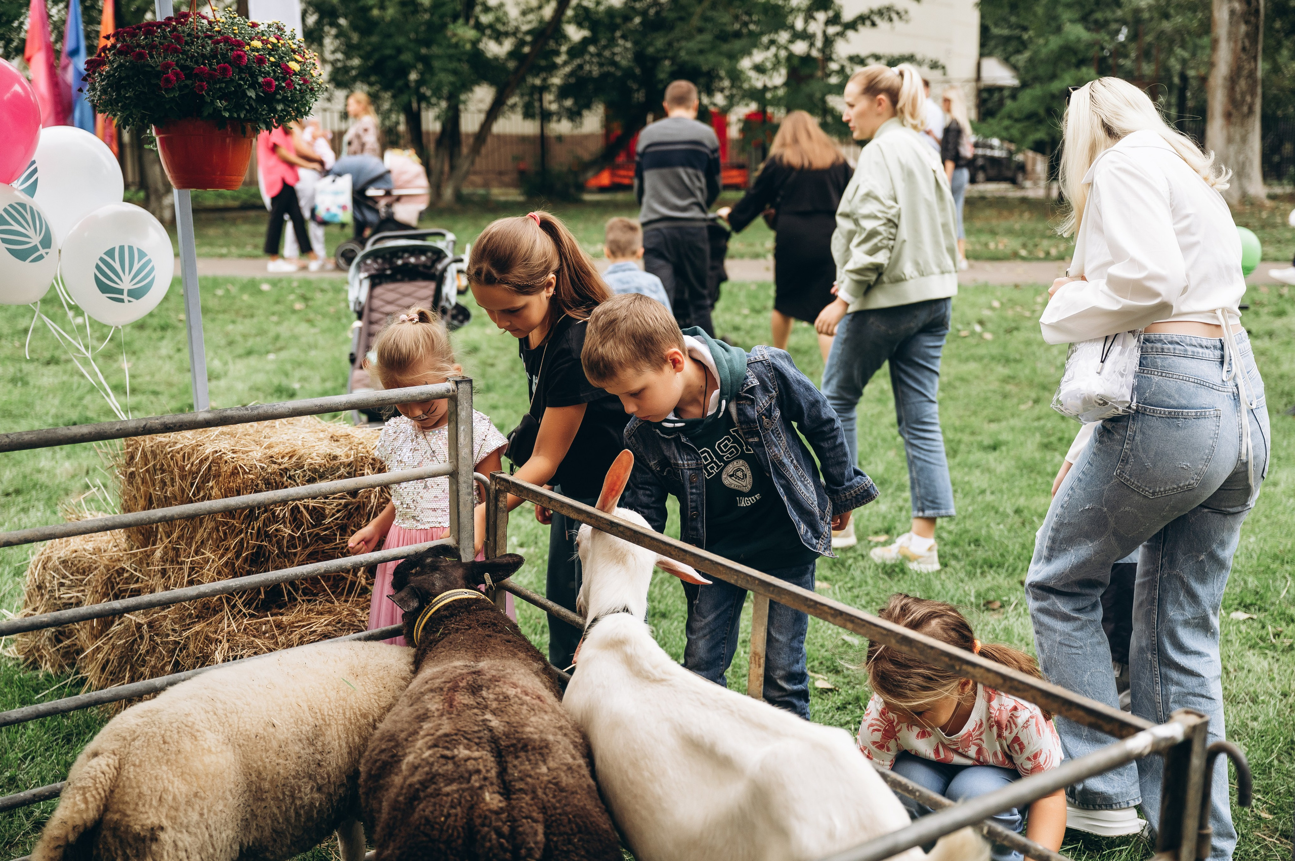 День города 2023. Фотограф Илья Солдаткин