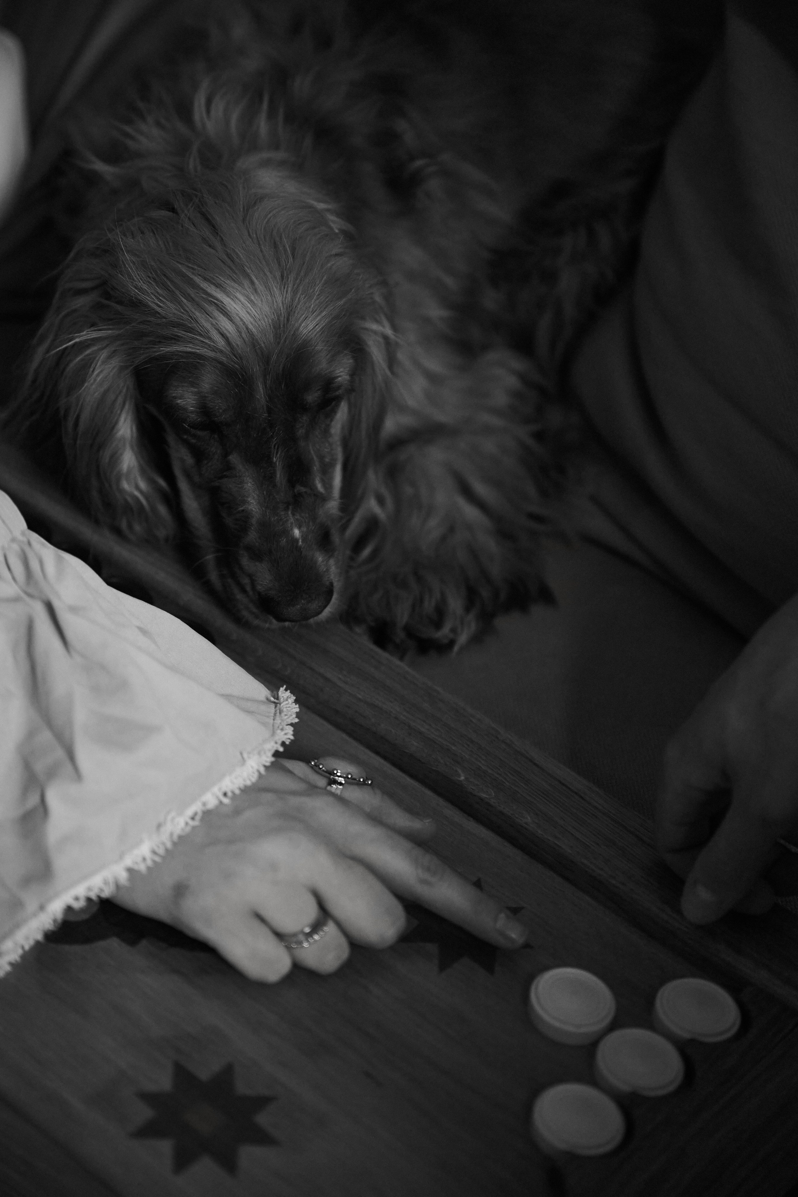 Егор и Аня. Свадебный фотограф МОСКВА, КРЫМ, СМОЛЕНСК АЛЯ КОНОВАЛОВА