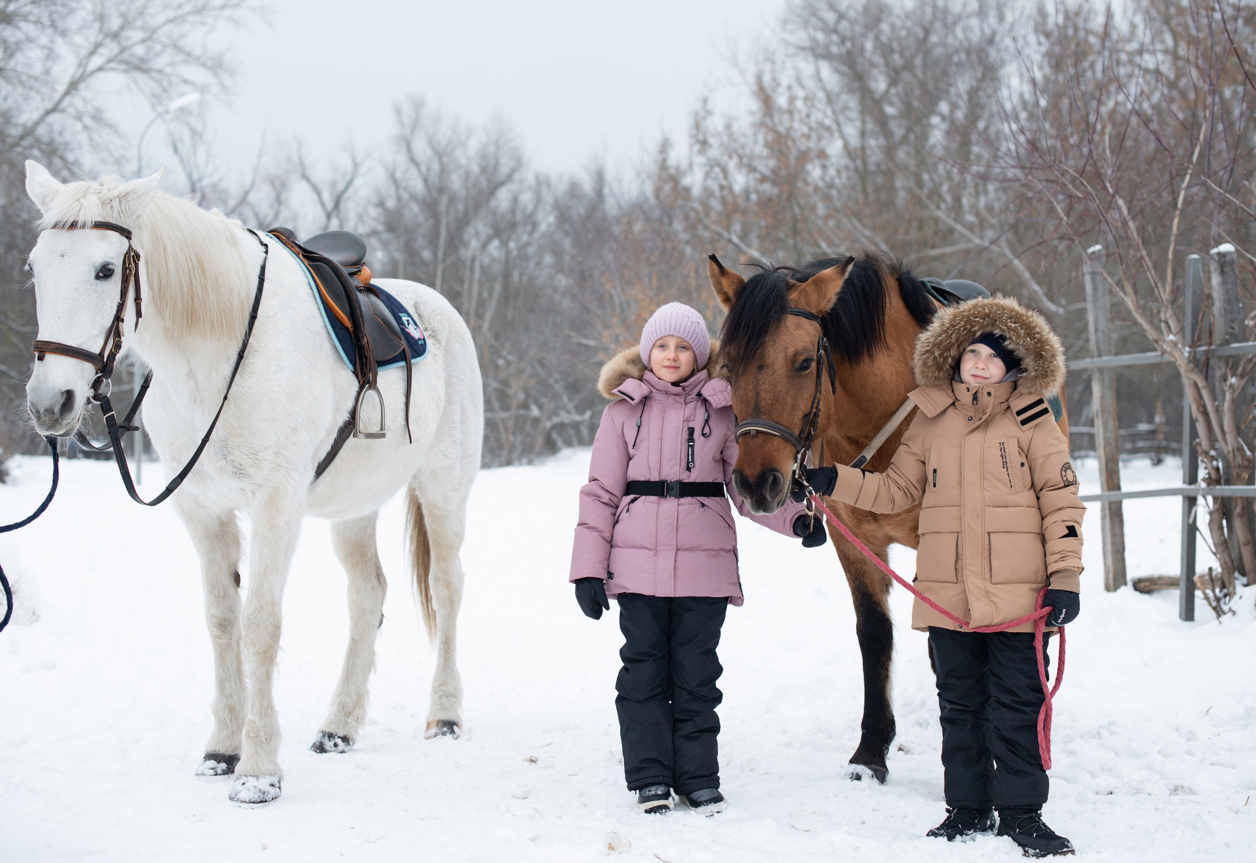 Прогулка с лошадьми. Конный фотограф в Саратове Юлия Иванова