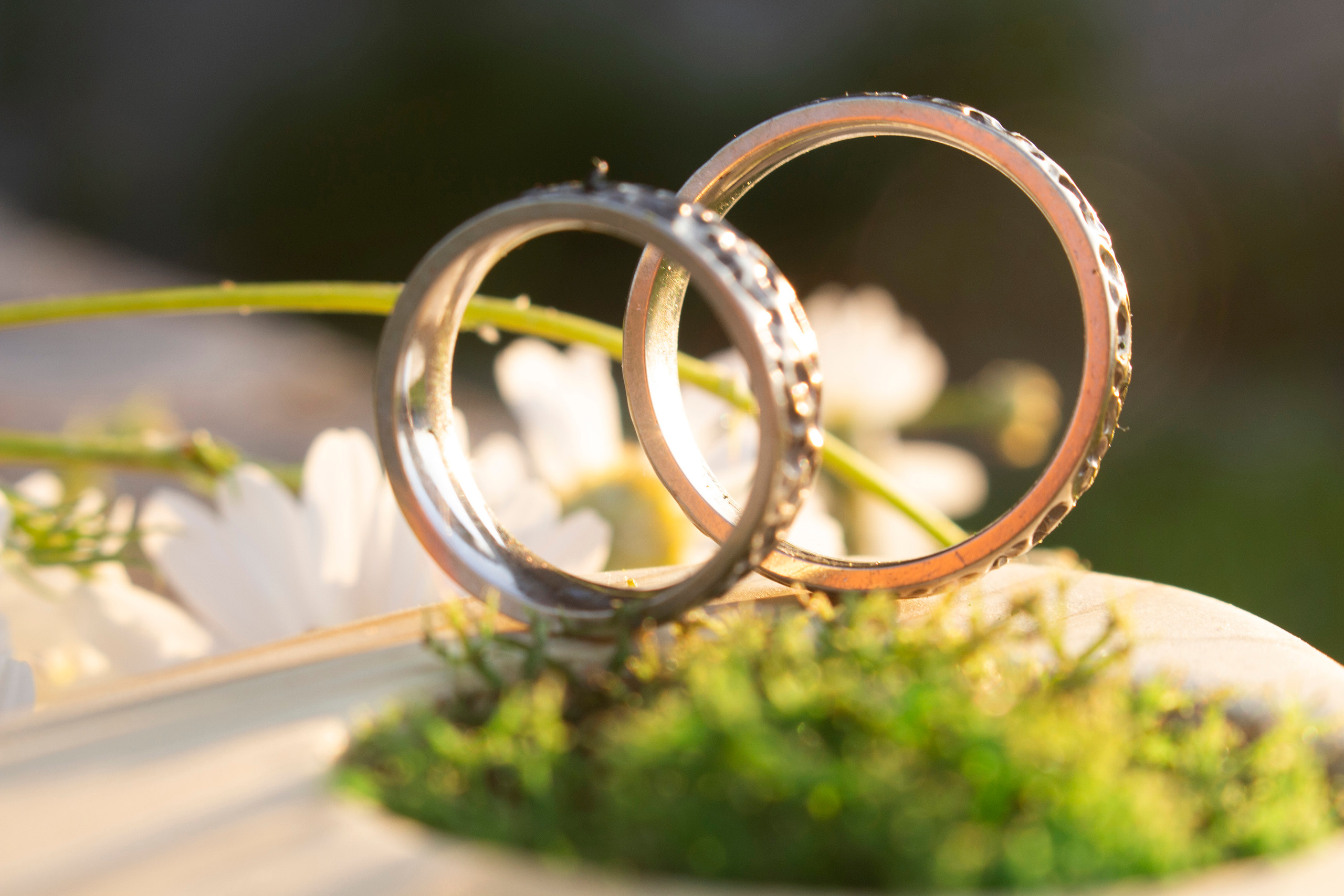 Аня свадебная репетиция. Главная