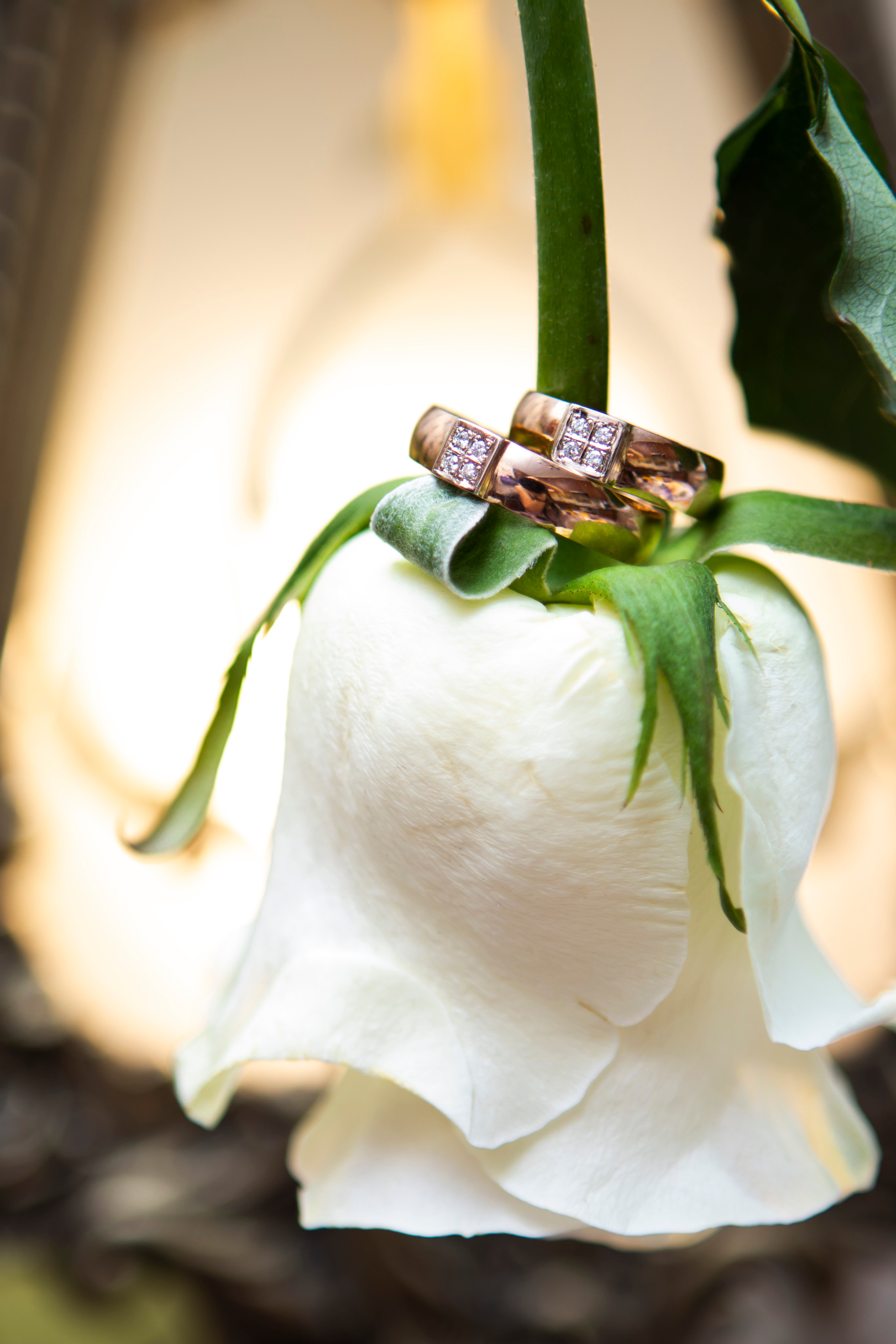 Светлана & Алексей. Главная