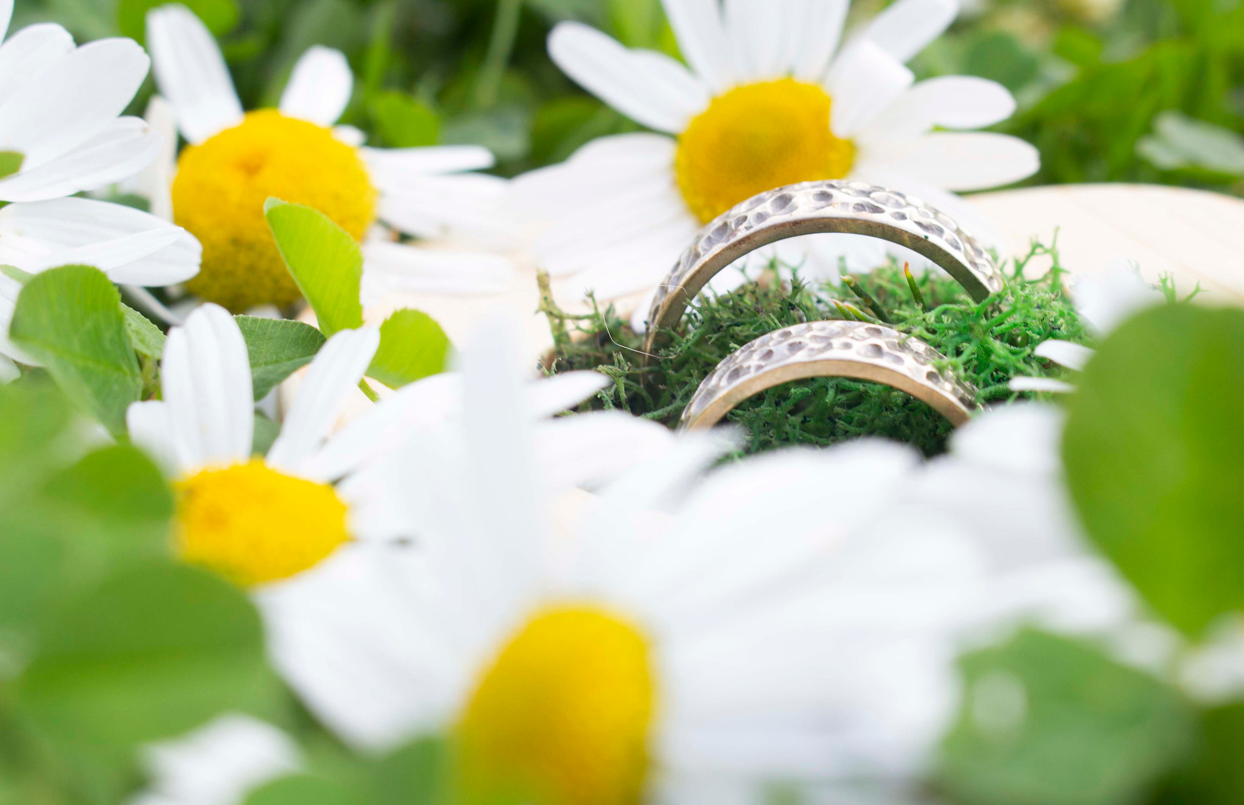 Аня свадебная репетиция. Главная