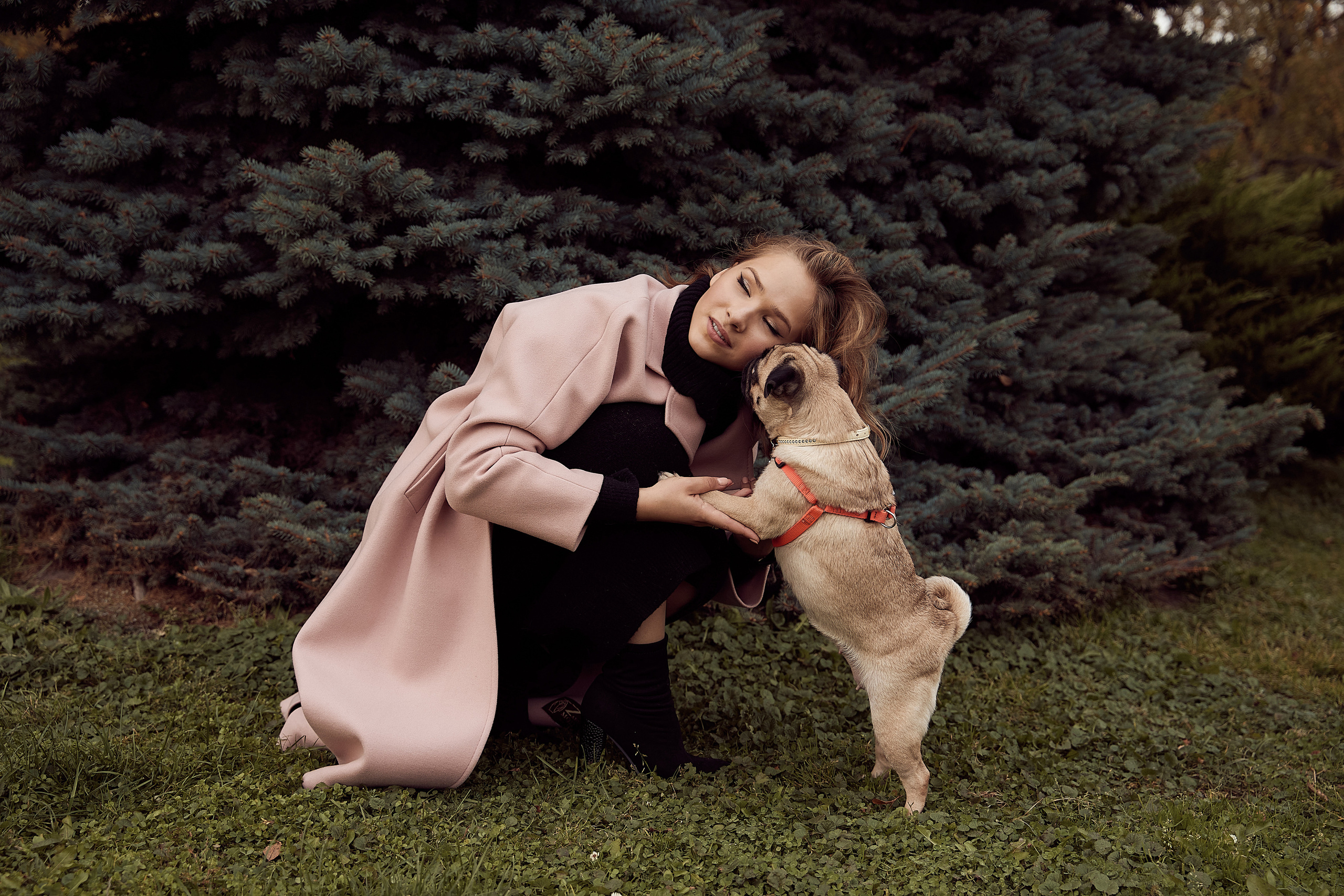 осенняя фотосессия девушка в розовом пальто на фоне осенних листьев с собакой мопсом