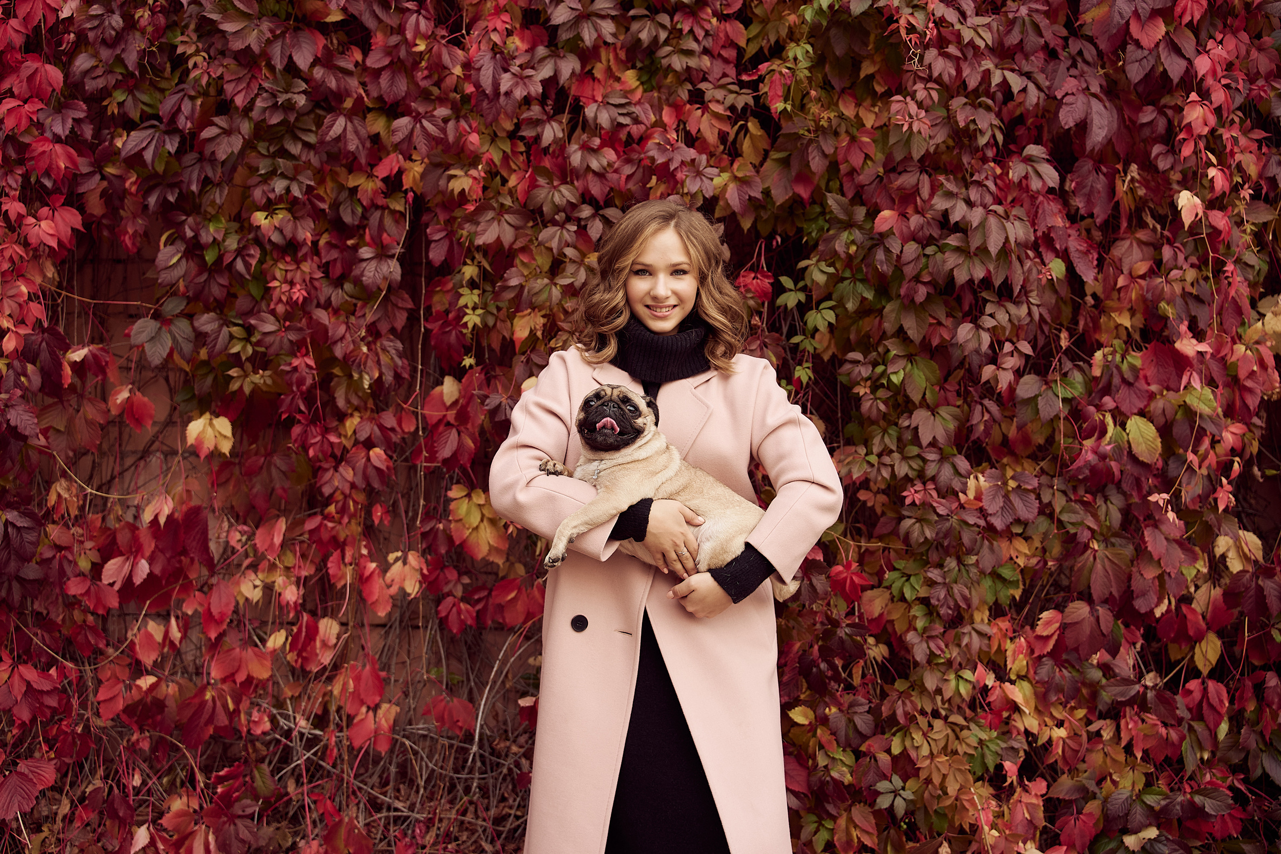 осенняя фотосессия девушка в розовом пальто на фоне осенних листьев с собакой мопсом на руках в ботаническом саду