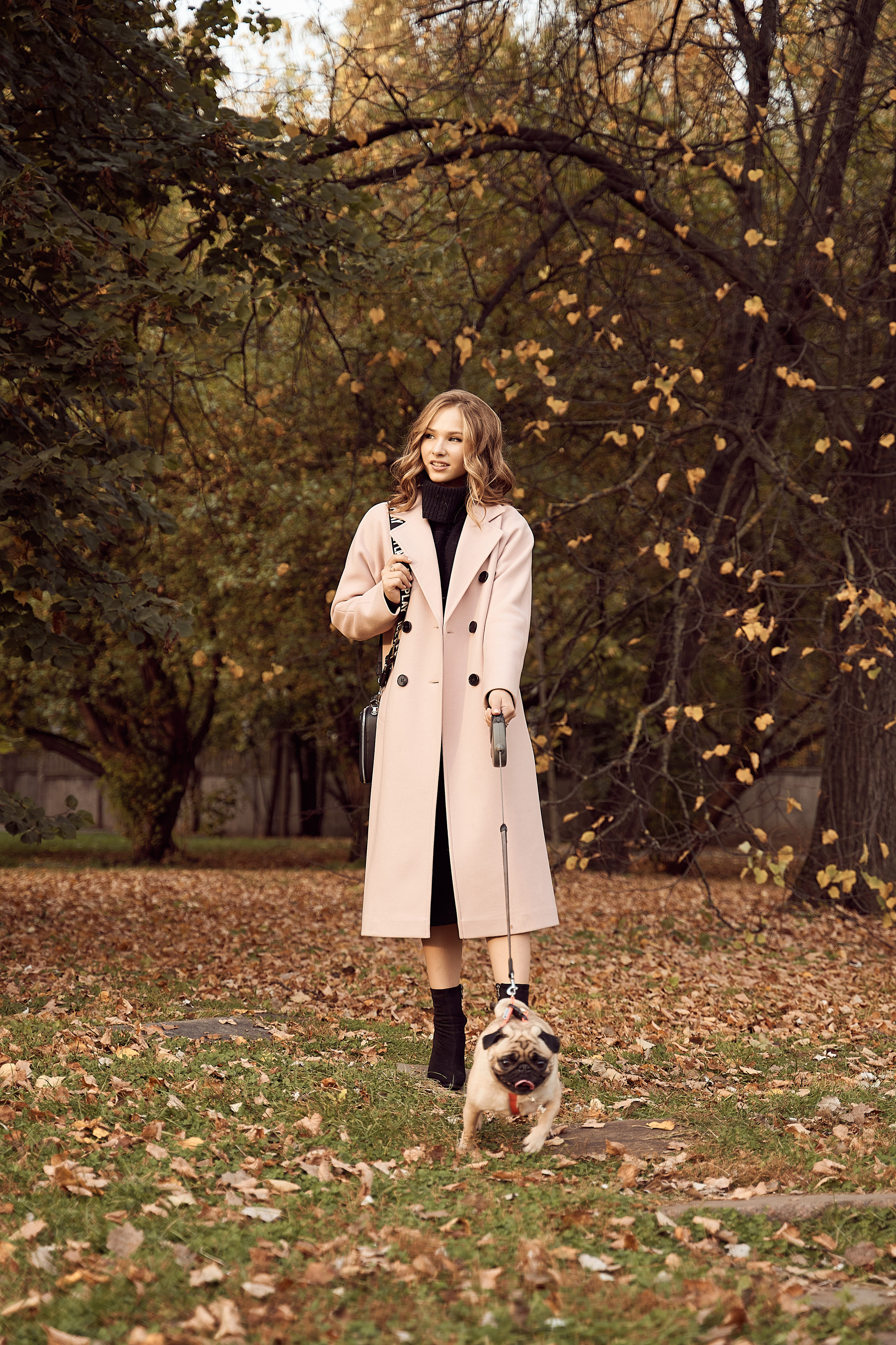 осенняя фотосессия девушка в розовом пальто на фоне осенних листьев с собакой мопсом на поводке