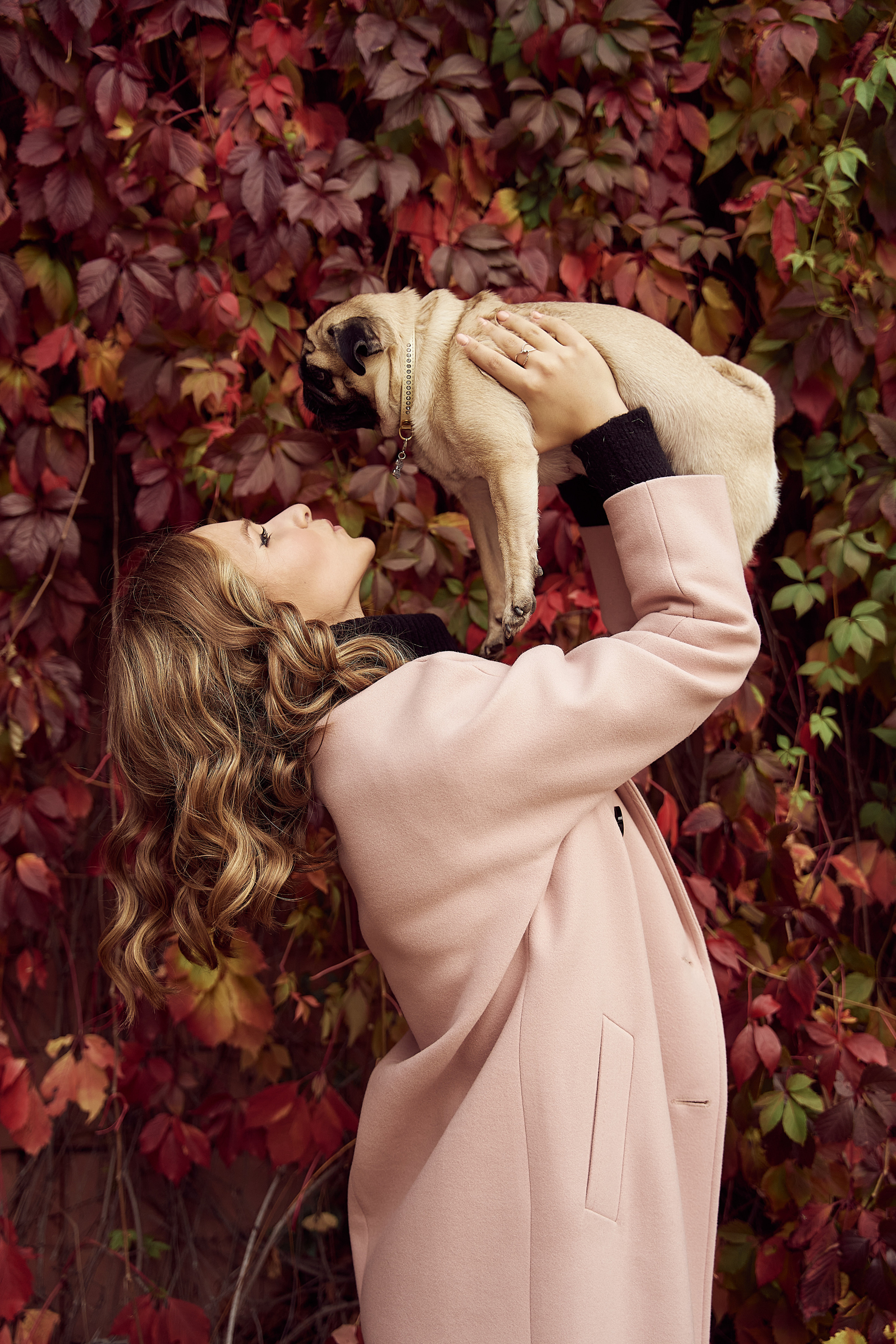 осенняя фотосессия девушка в розовом пальто на фоне осенних листьев с собакой мопсом на руках в ботаническом саду