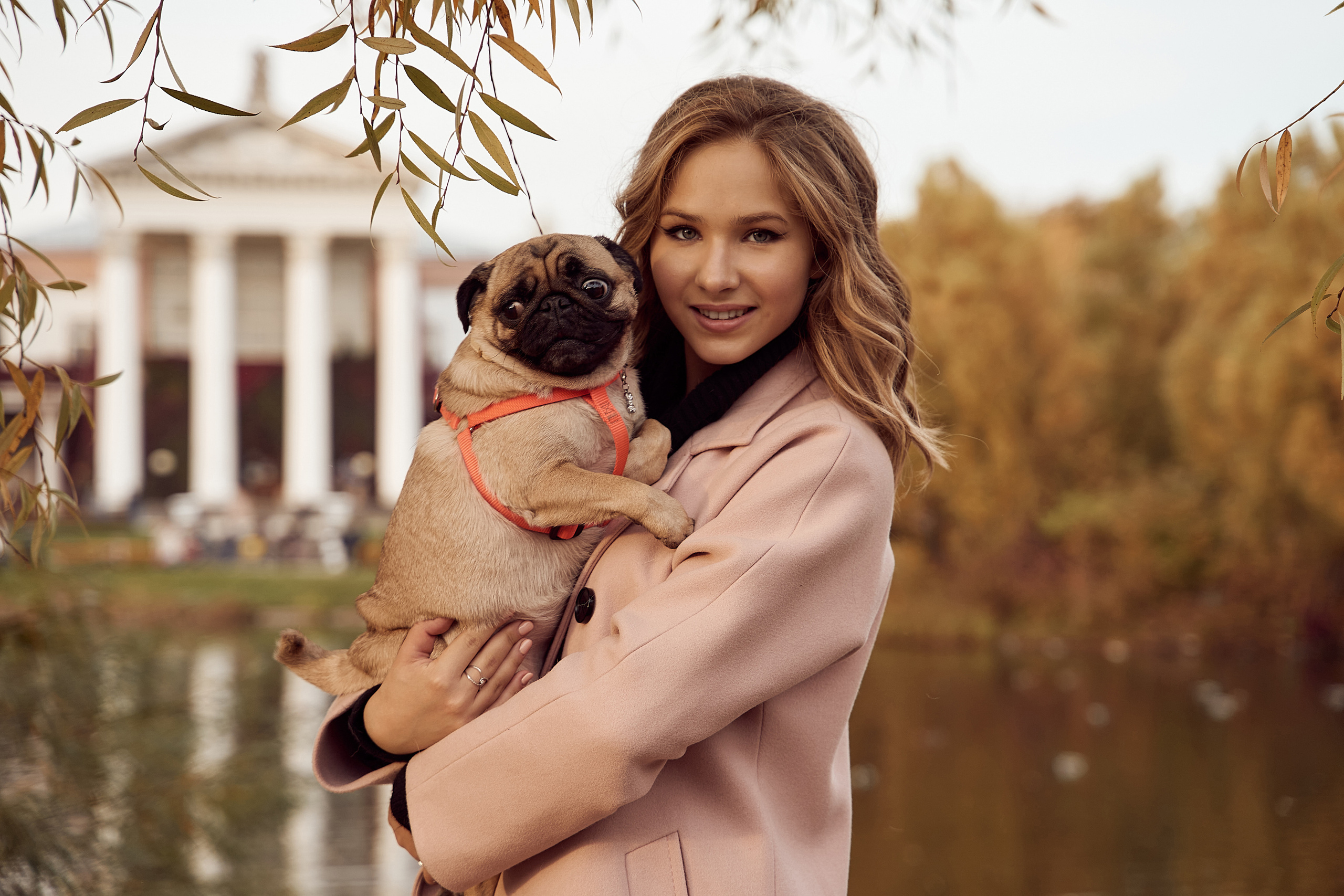 осенняя фотосессия девушка в розовом пальто на фоне осенних листьев с собакой мопсом на руках в ботаническом саду