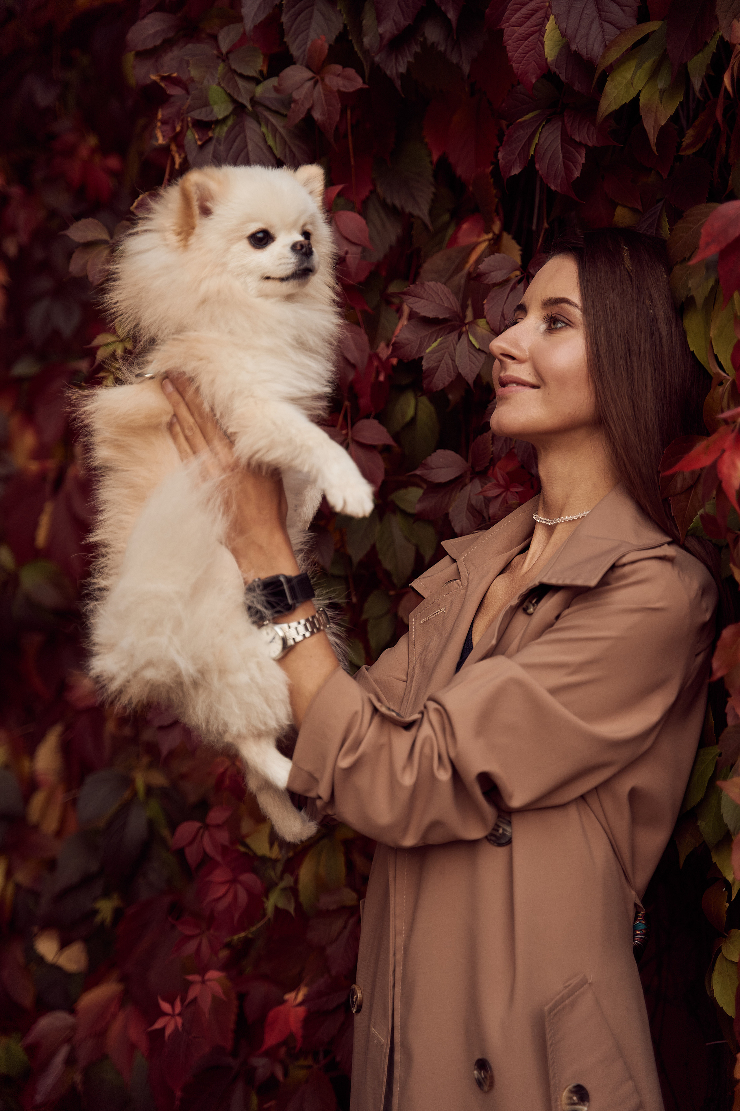 осенняя фотосессия девушка с собачкой белый шпиц в ботаническом саду