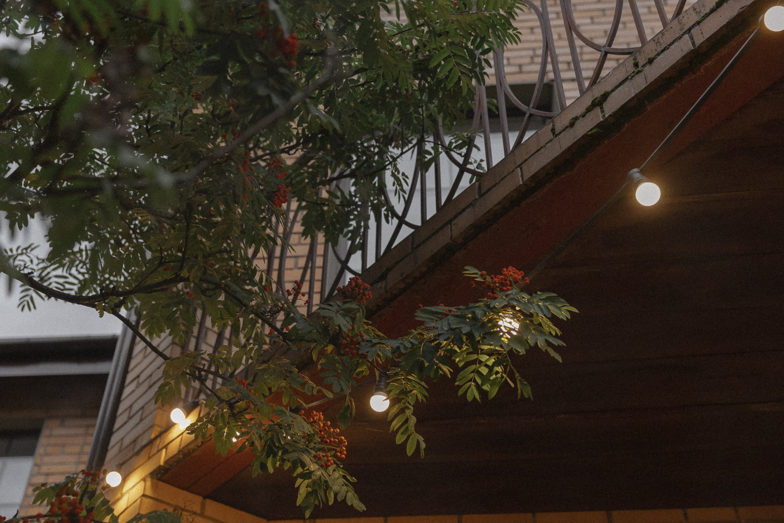 Wedding day Владимир & Алена. Свадебный фотограф Колесников Антон