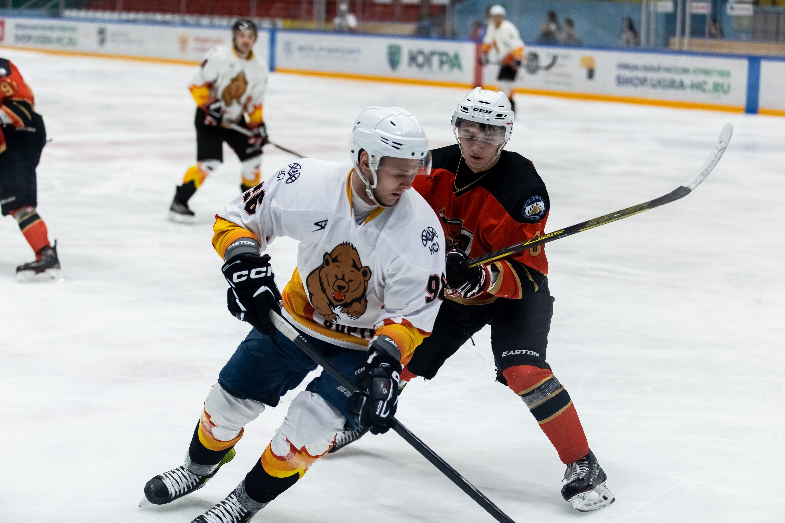 Хоккей. Фотограф Тимербаева Алина г. Сургут