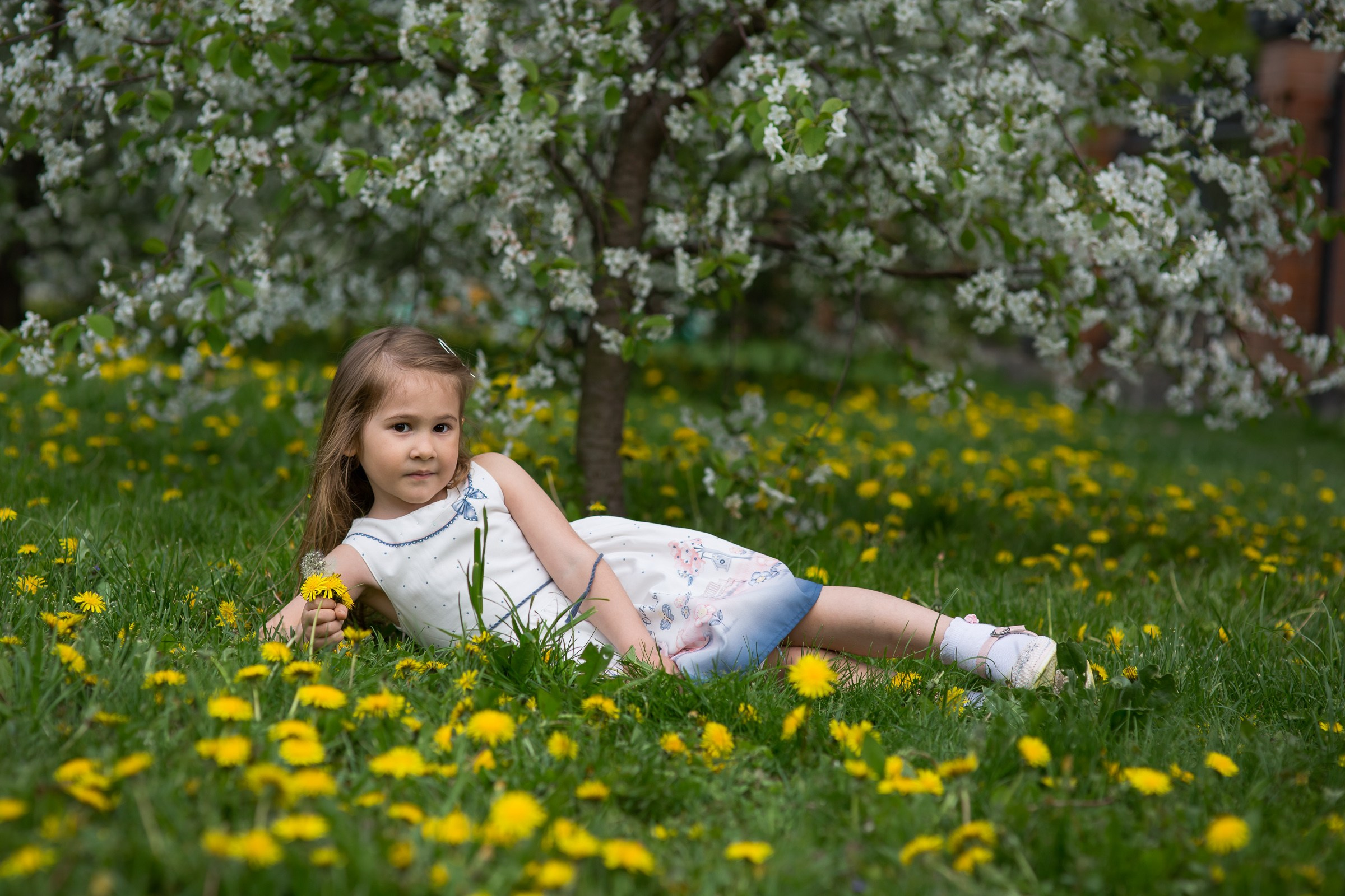 Цветущие сады. Свадебная фотосъёмка в Москве, Туле