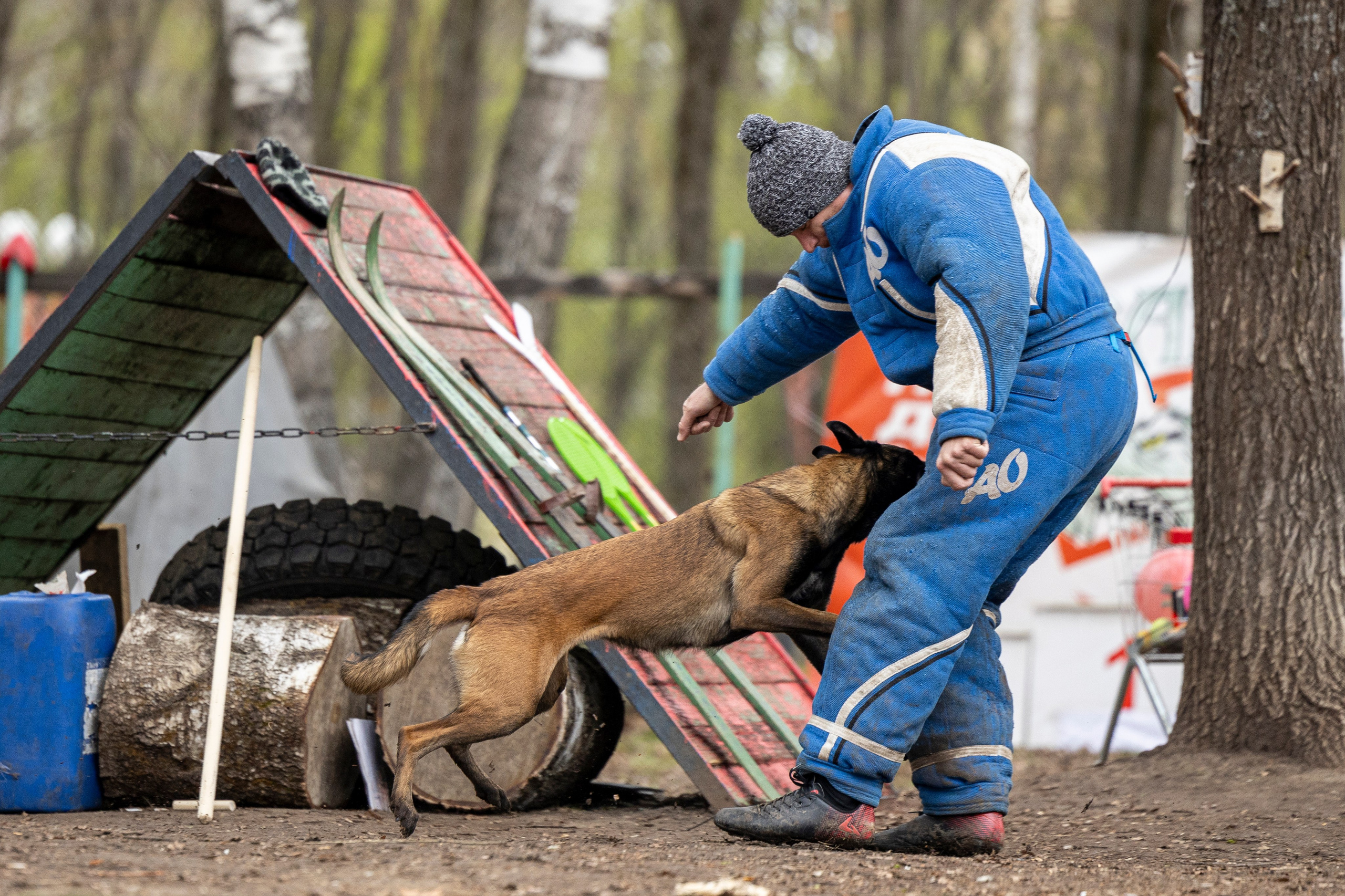 Квалификационные состязания по мондьорингу г. Вологда 11.05.24. Фотограф-анималист Анна Маринич