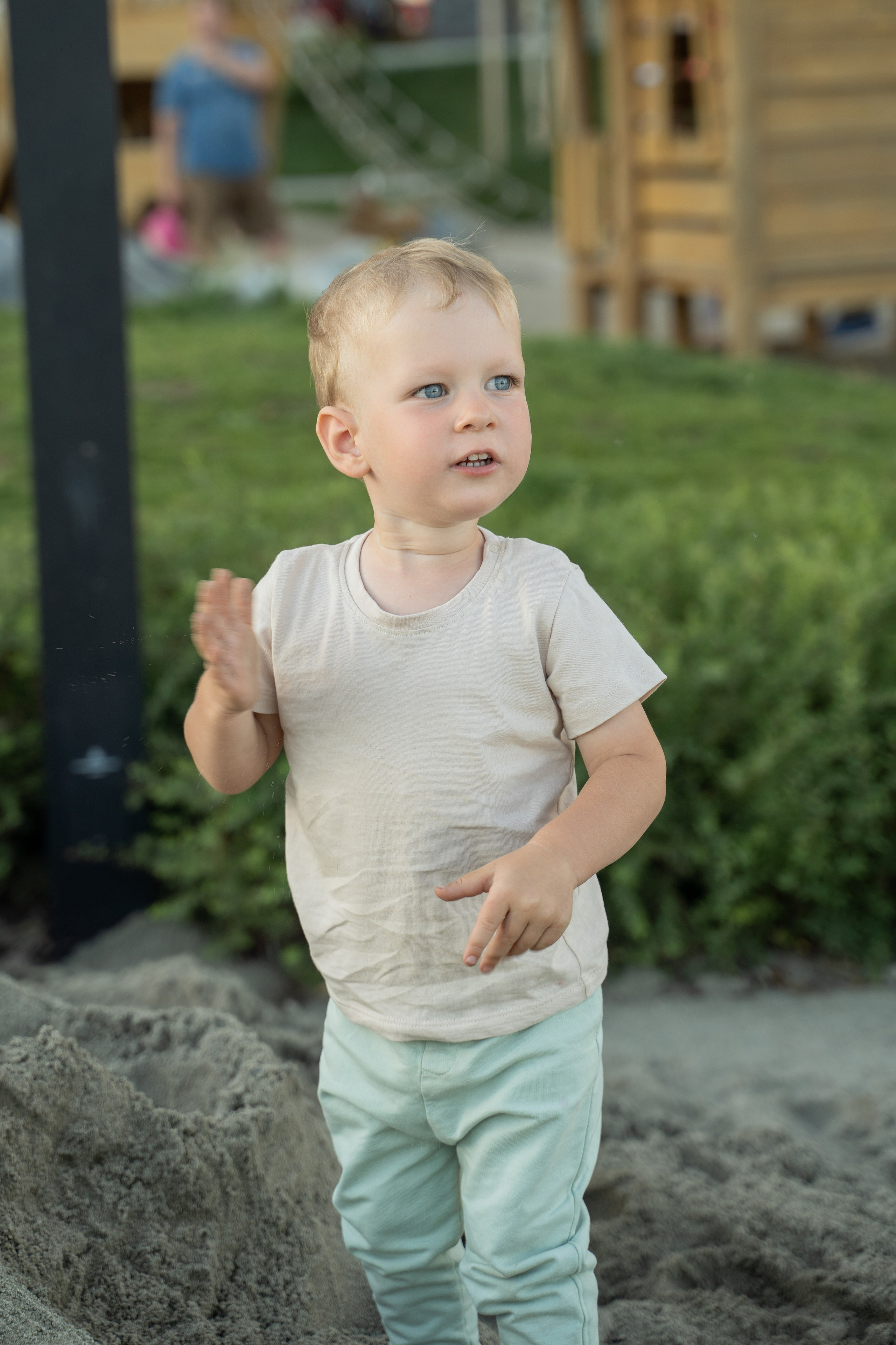 Семейная прогулка. Главная