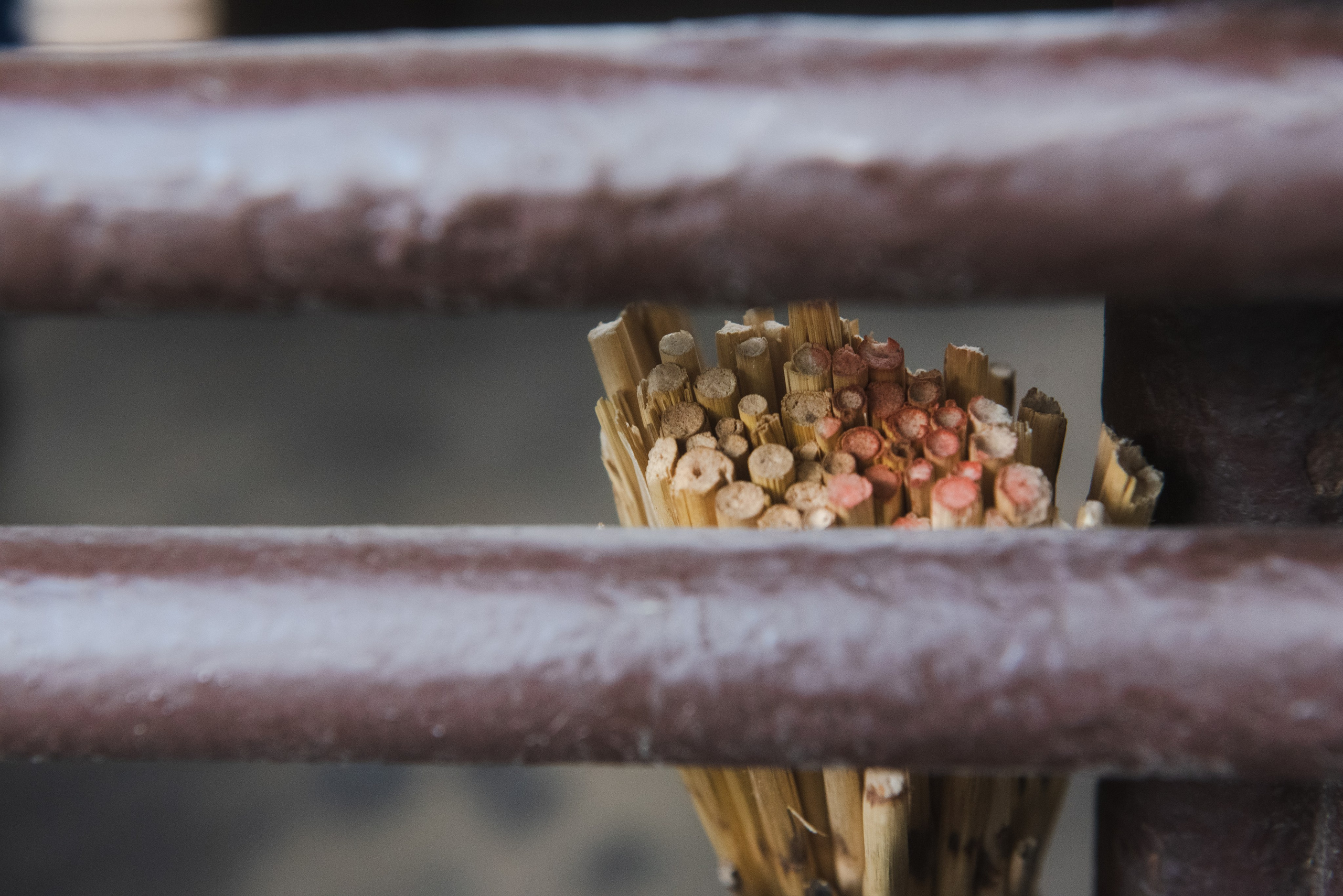 Среда. Портретный и архитектурный фотограф в Москве и Санкт-Петербурге