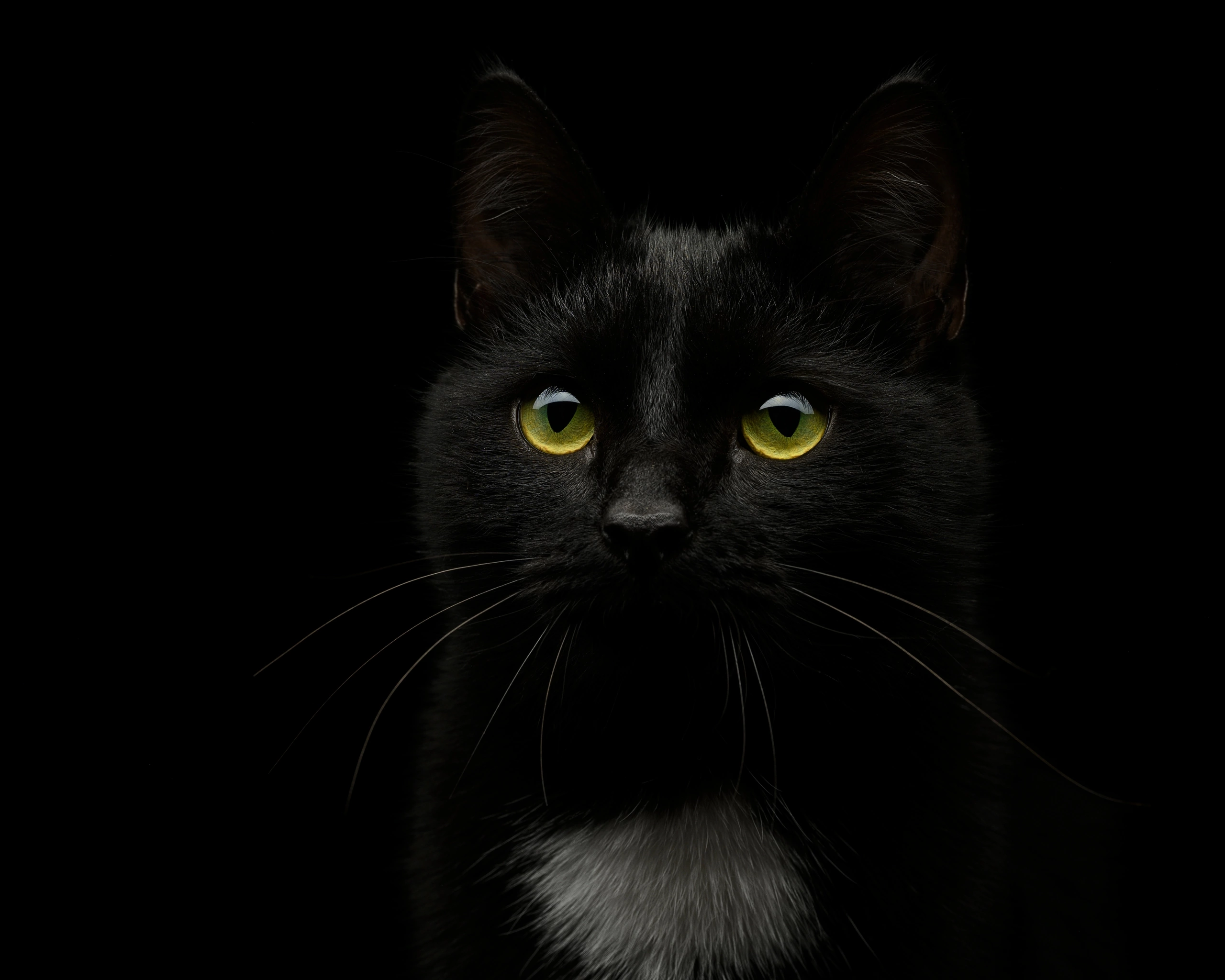 Студийные съемки. Портретный фотограф в Челябинске Катерина Руди