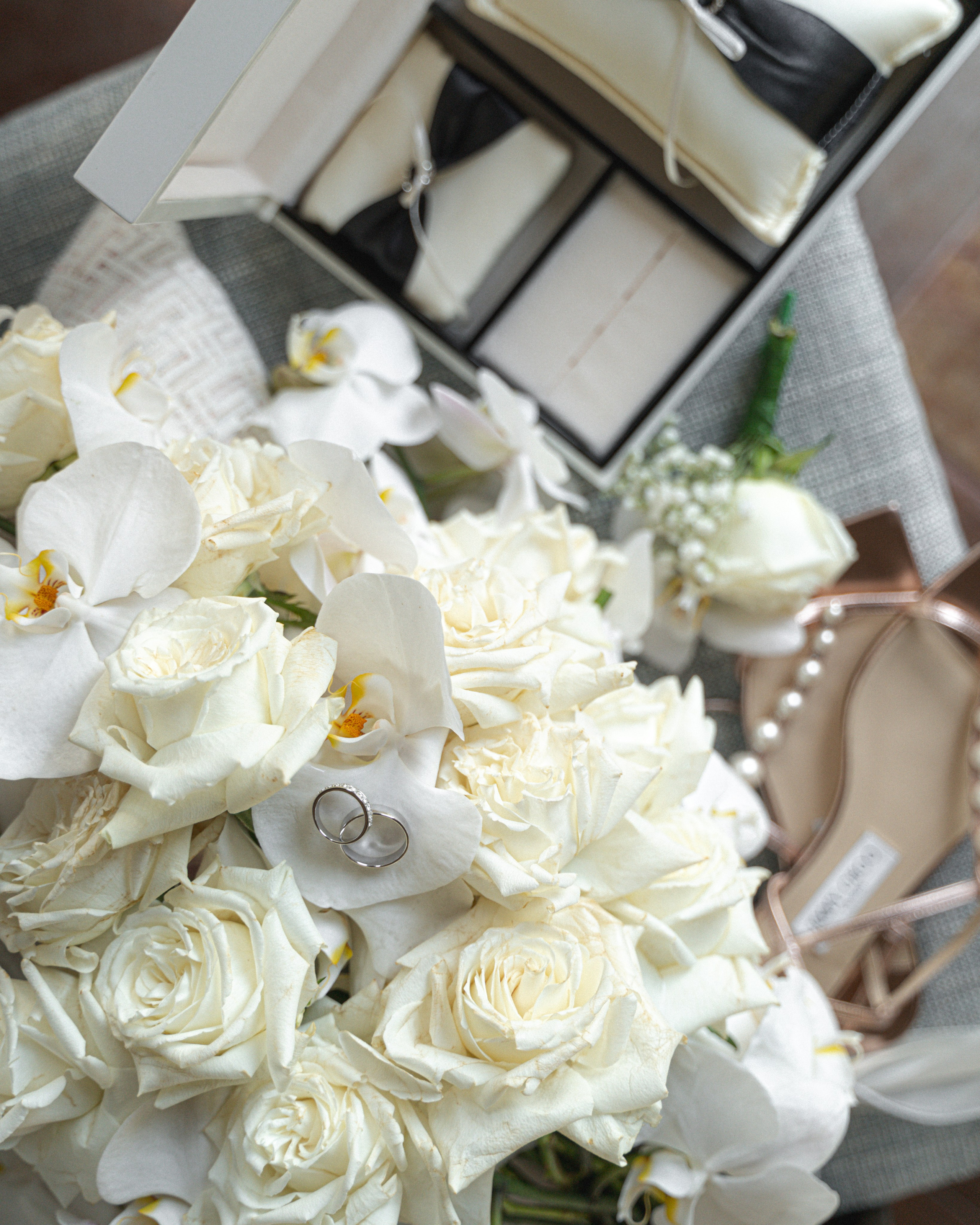 Kamran Olga. Alena Gribkova