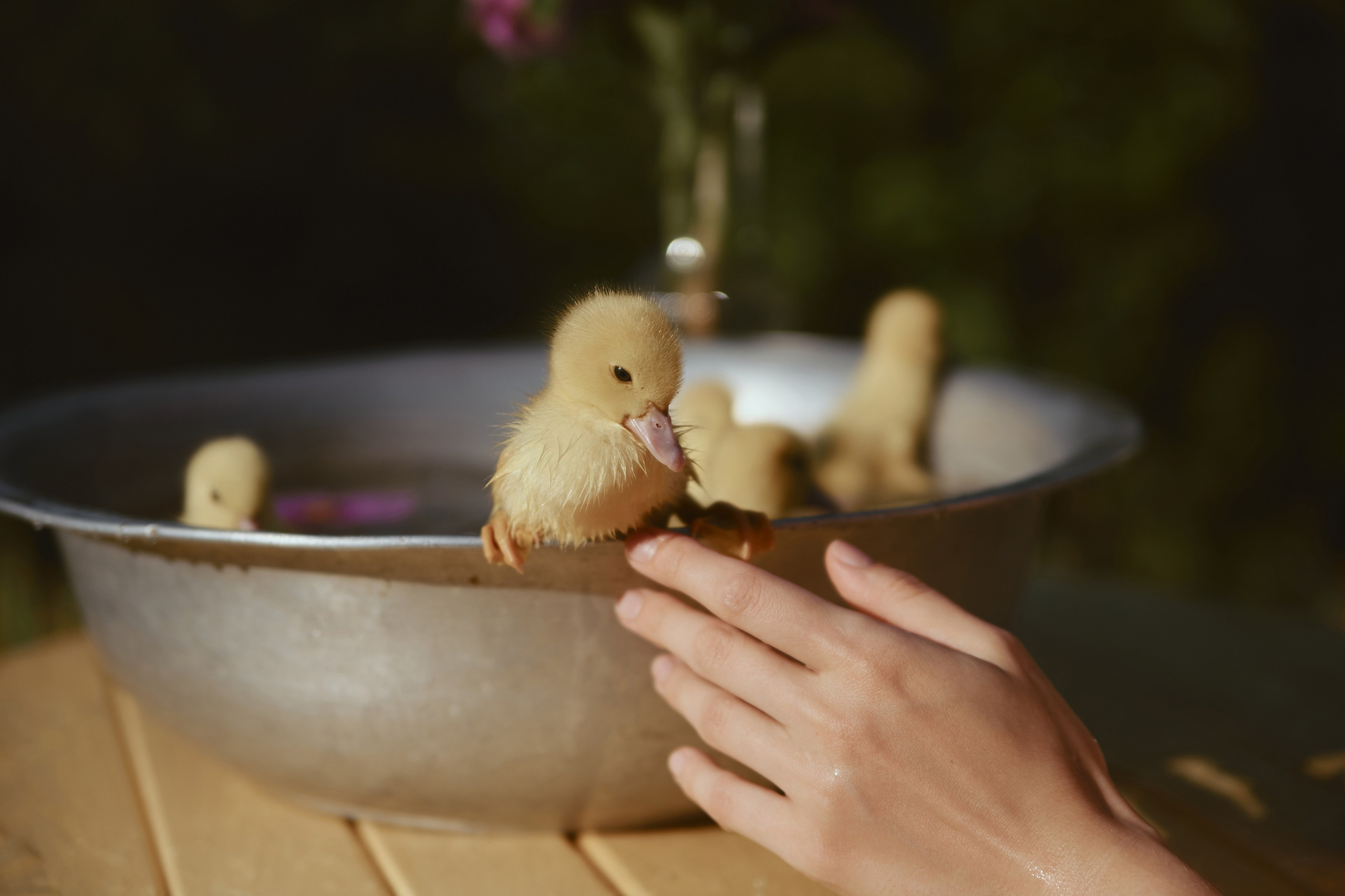 30|07|23. Анастасия Марунич | Блогер | Ставрополь