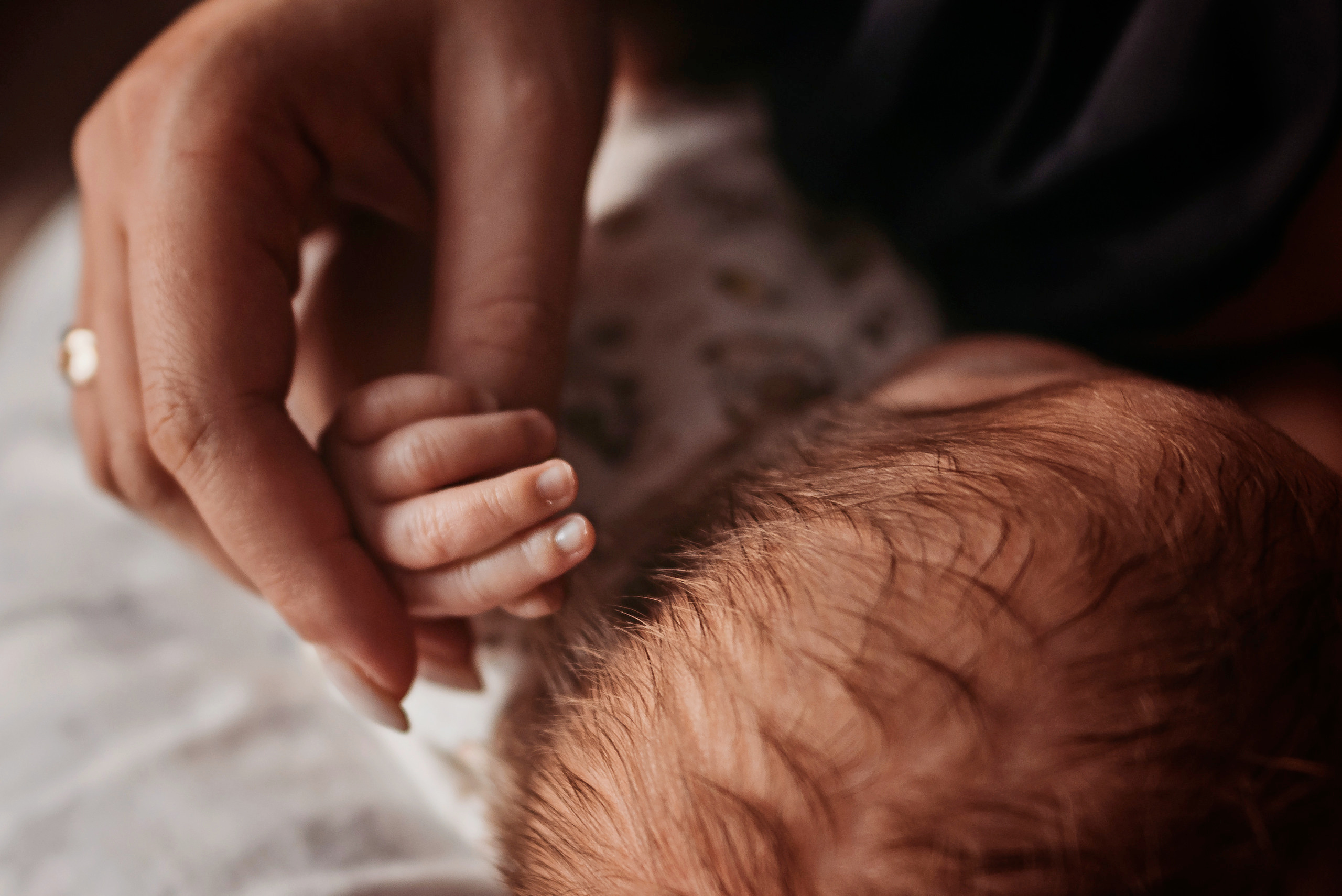 Двойное счастье. Детский и семейный фотограф выпускной альбом Приморско-Ахтарск