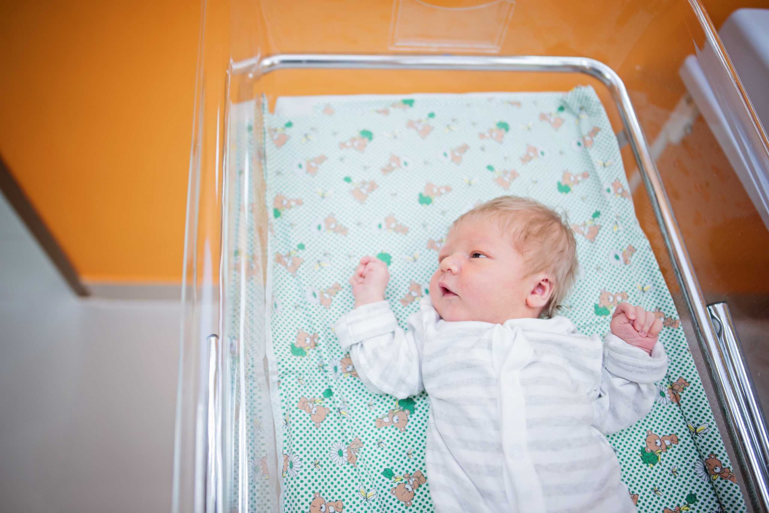 Выписка из РД. Детский и семейный фотограф выпускной альбом Приморско-Ахтарск