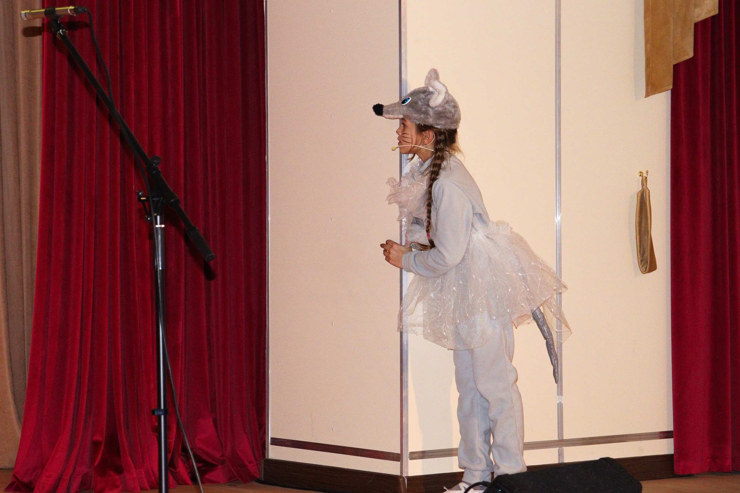 Новогодний концерт Шишли-Мышли