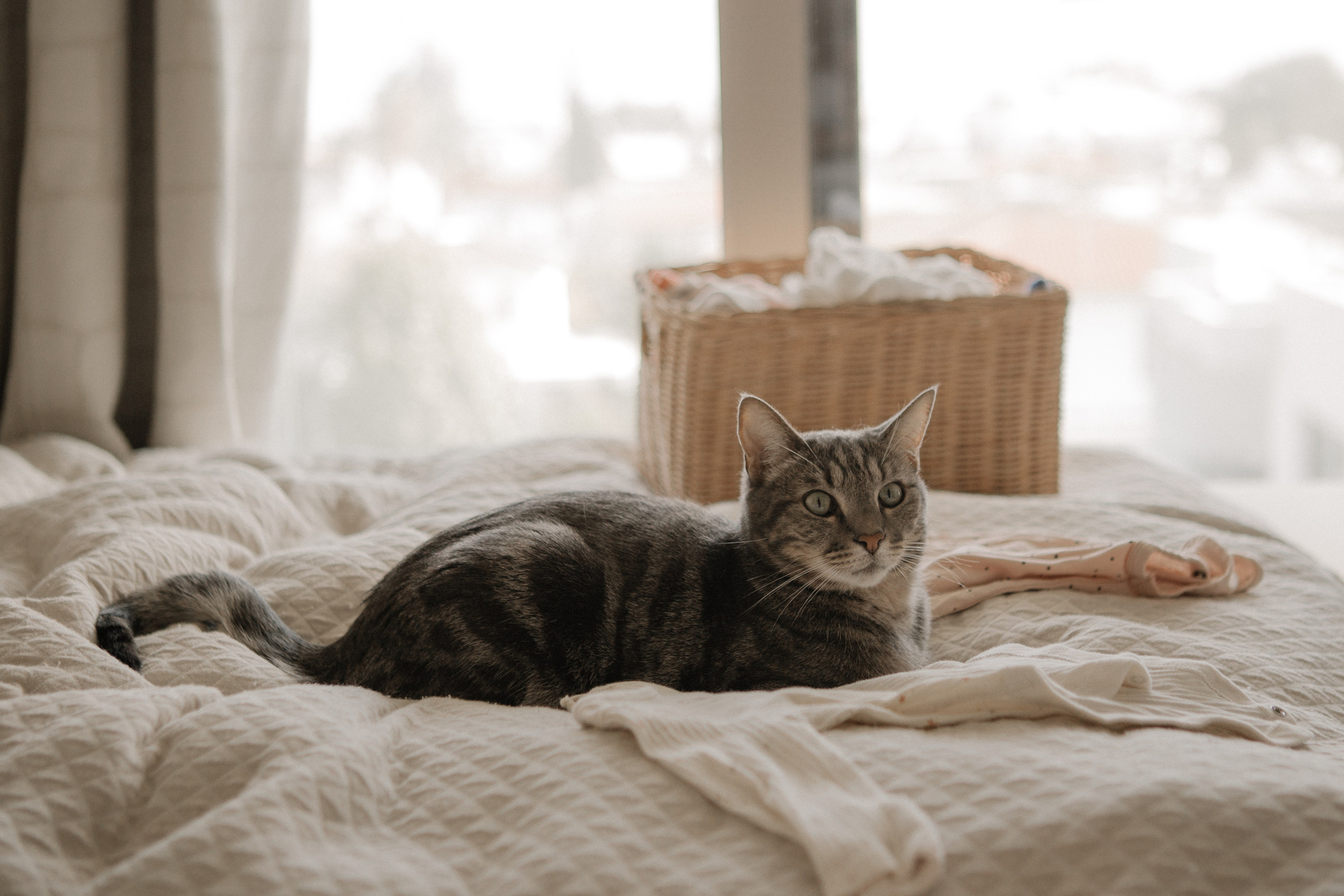Kira + Katya & Igor. Portrait, family and pet photographer in Cyprus, Ksenia Bourdelle