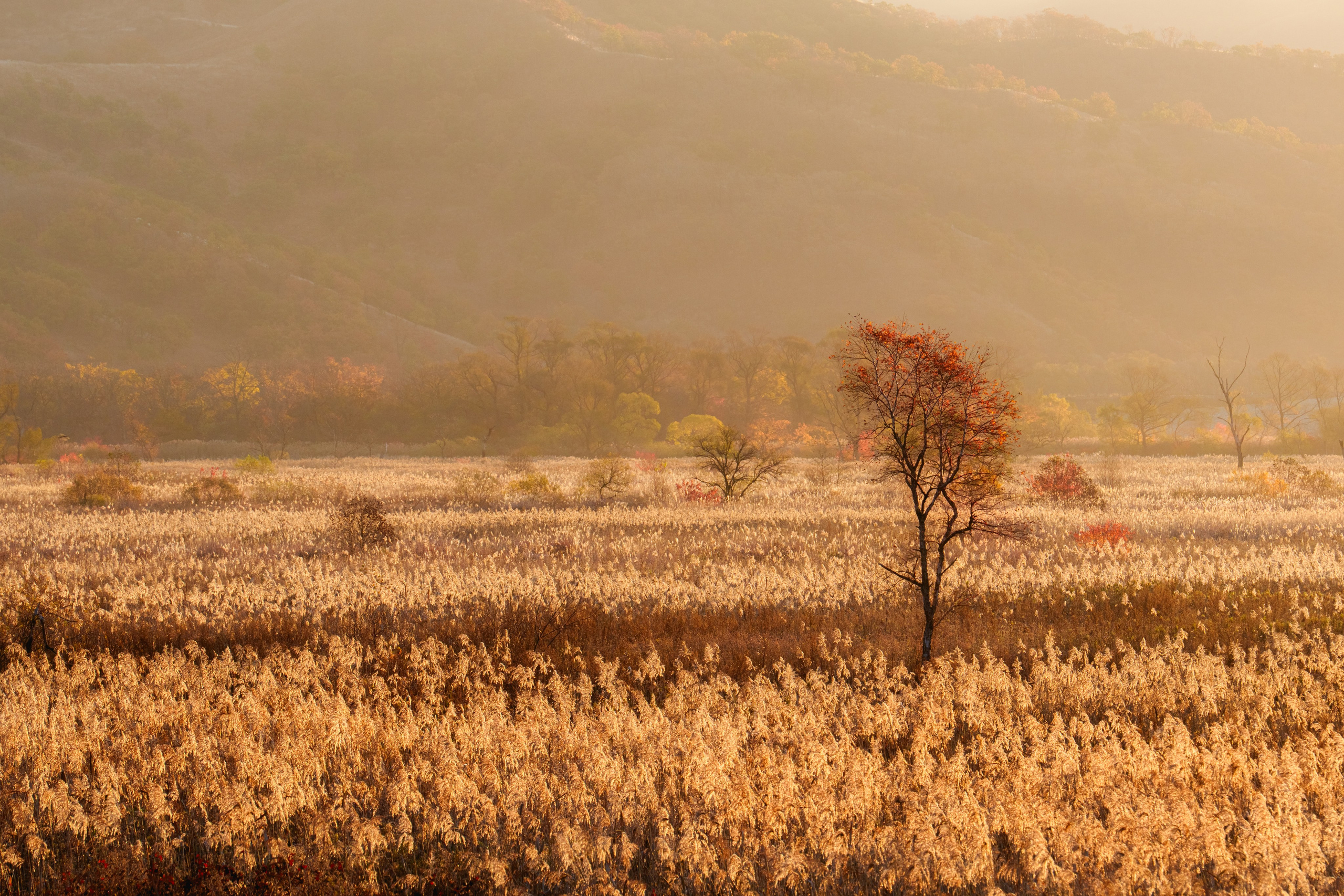 Осень в Северном Приморье