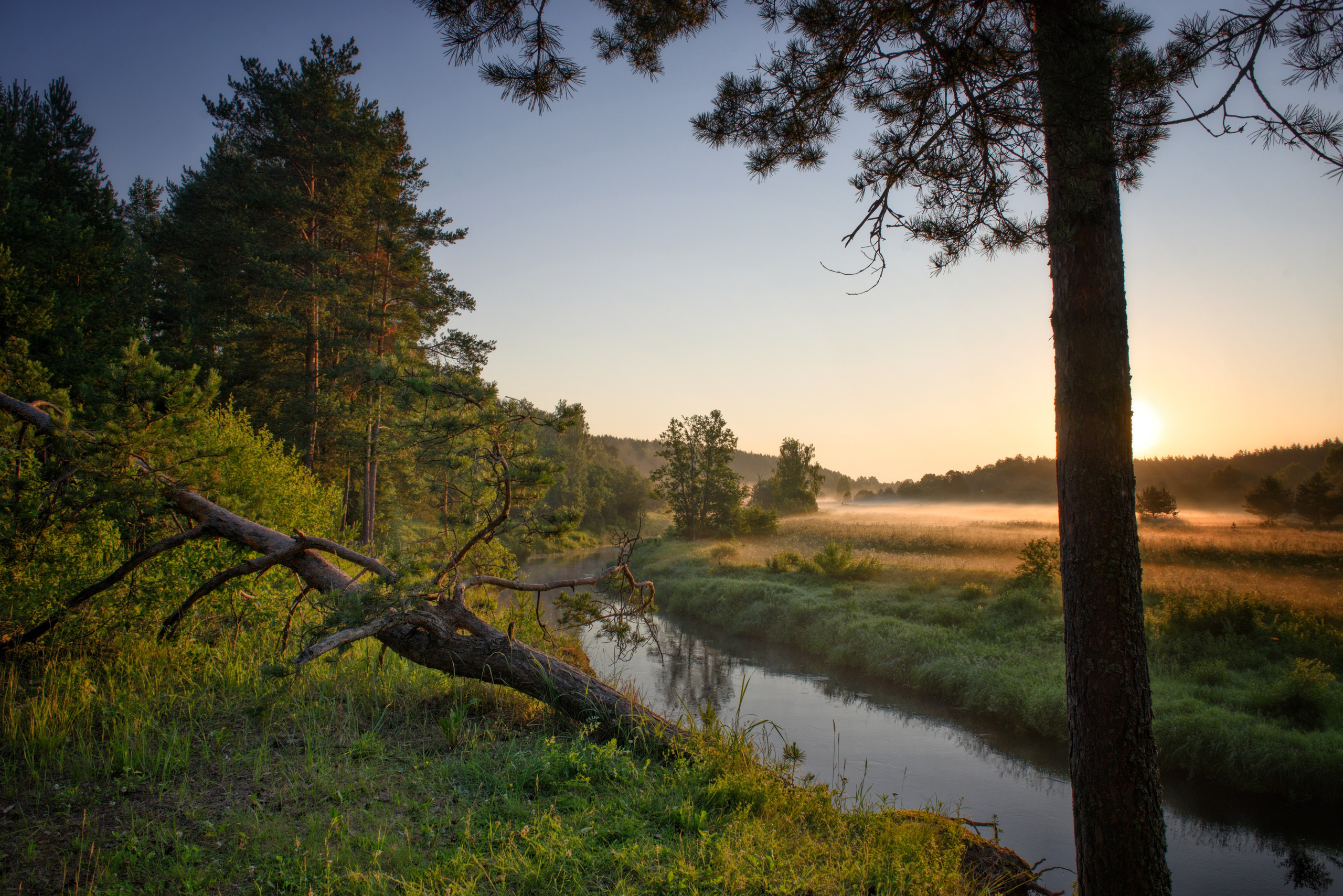 Природа. Приходской фотограф и педагог Екатерина Ивлянова