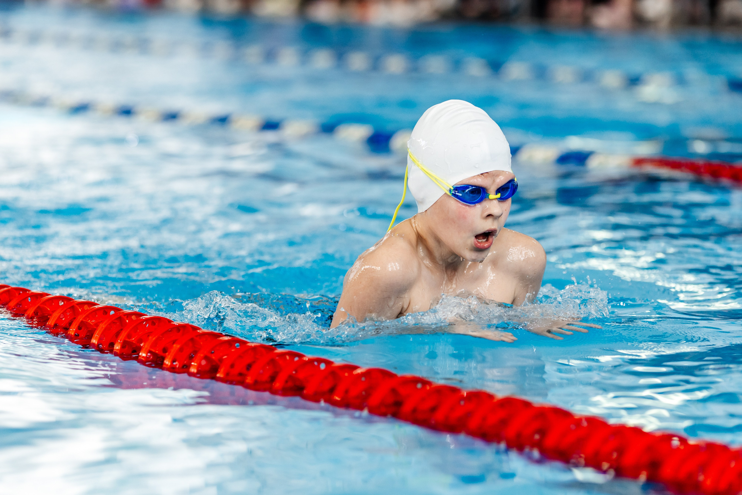 Школа плавания «Виктория». Свадебный фотограф в Краснодаре Николай Крауз