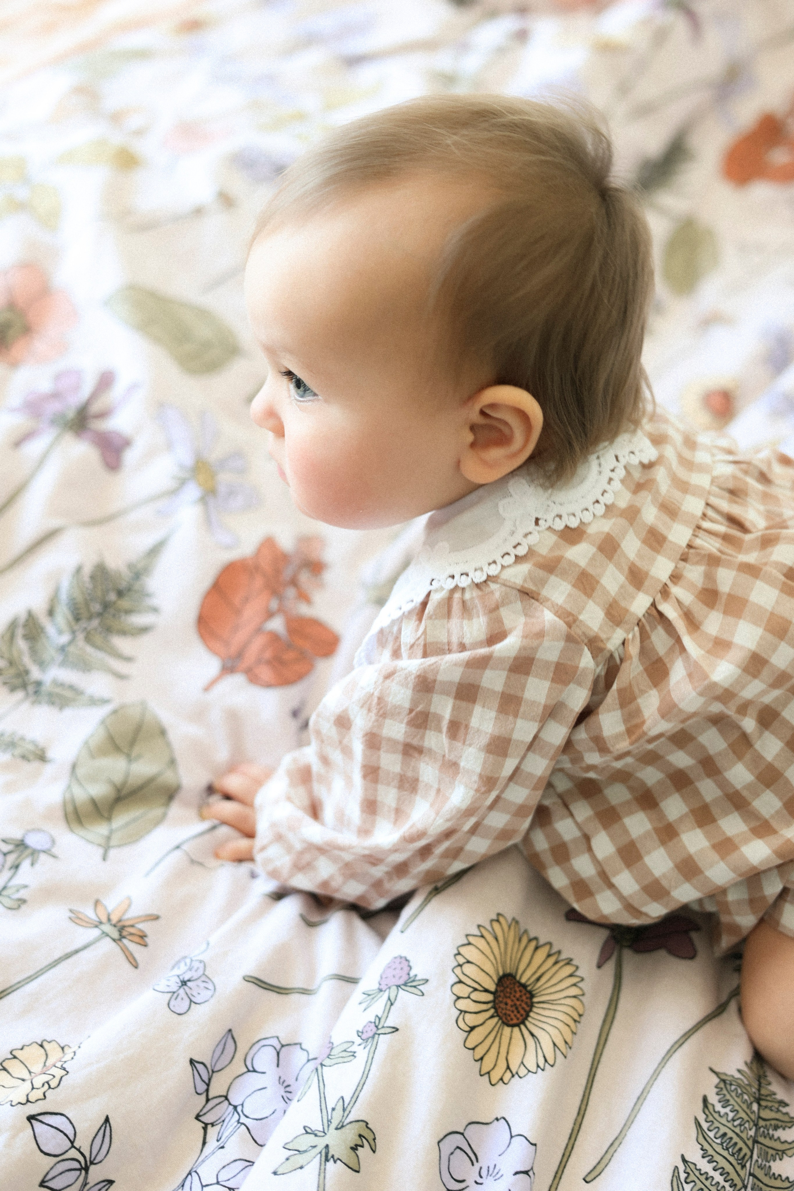 Годик Миланке. Фотограф НатаФото (Наталья Яковенко) Дмитров Москва Питер