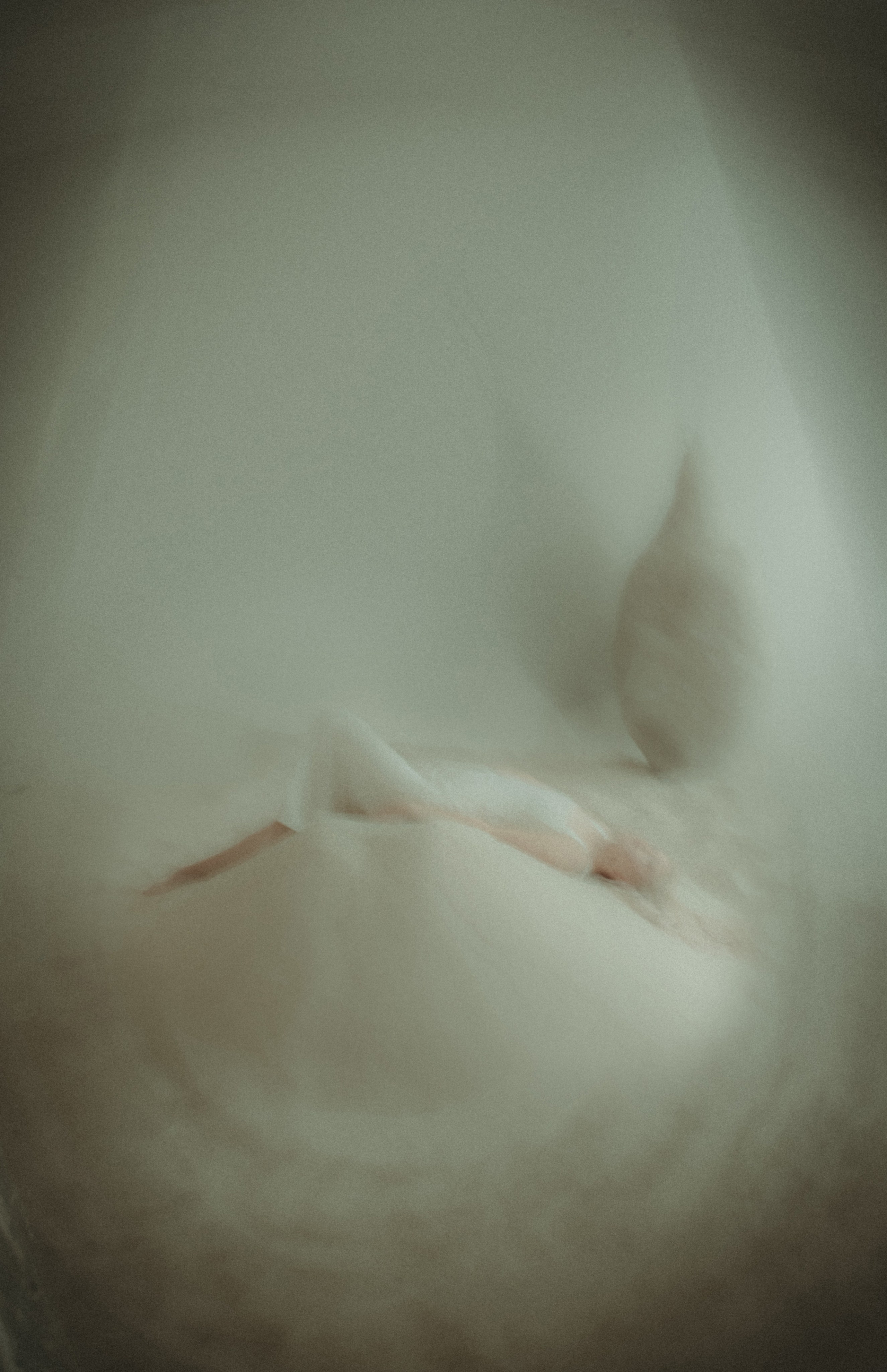 В дюнах. Фотограф Крещение Венчание Москва