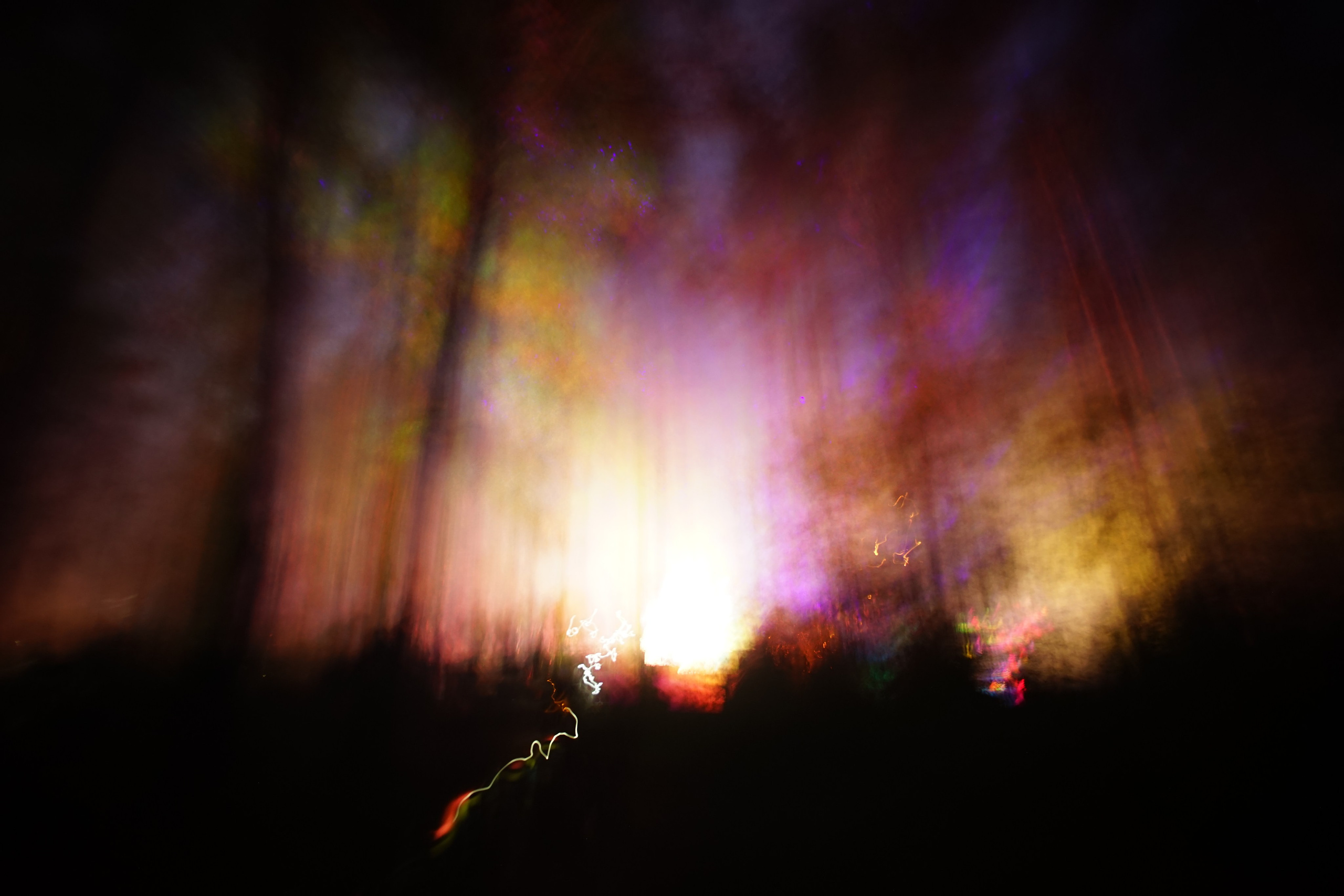 Где-то в лесу. ZAGLADIN Bureau