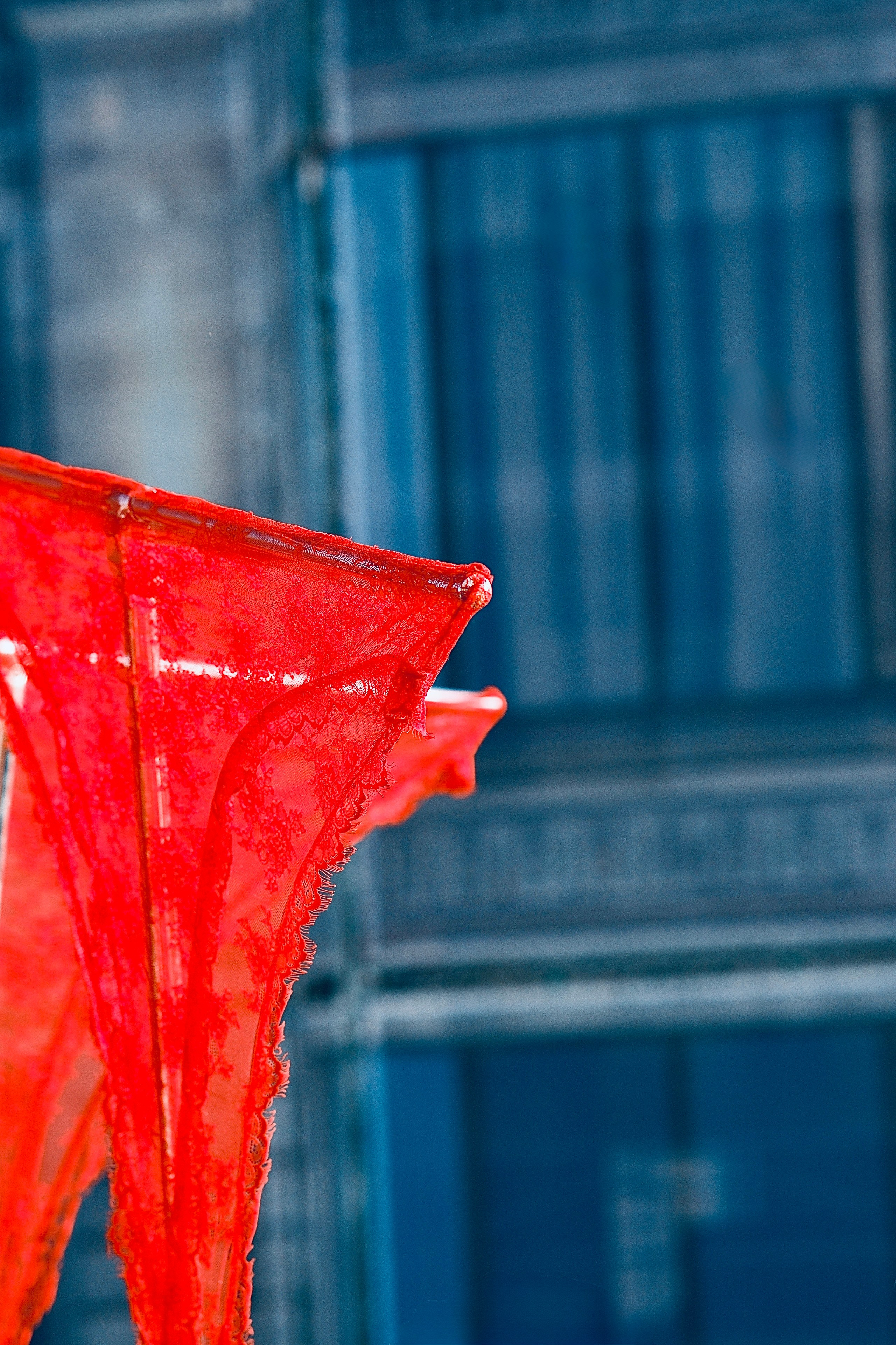 Праздники. Фотограф и художник в Москве Евгения Нюнина