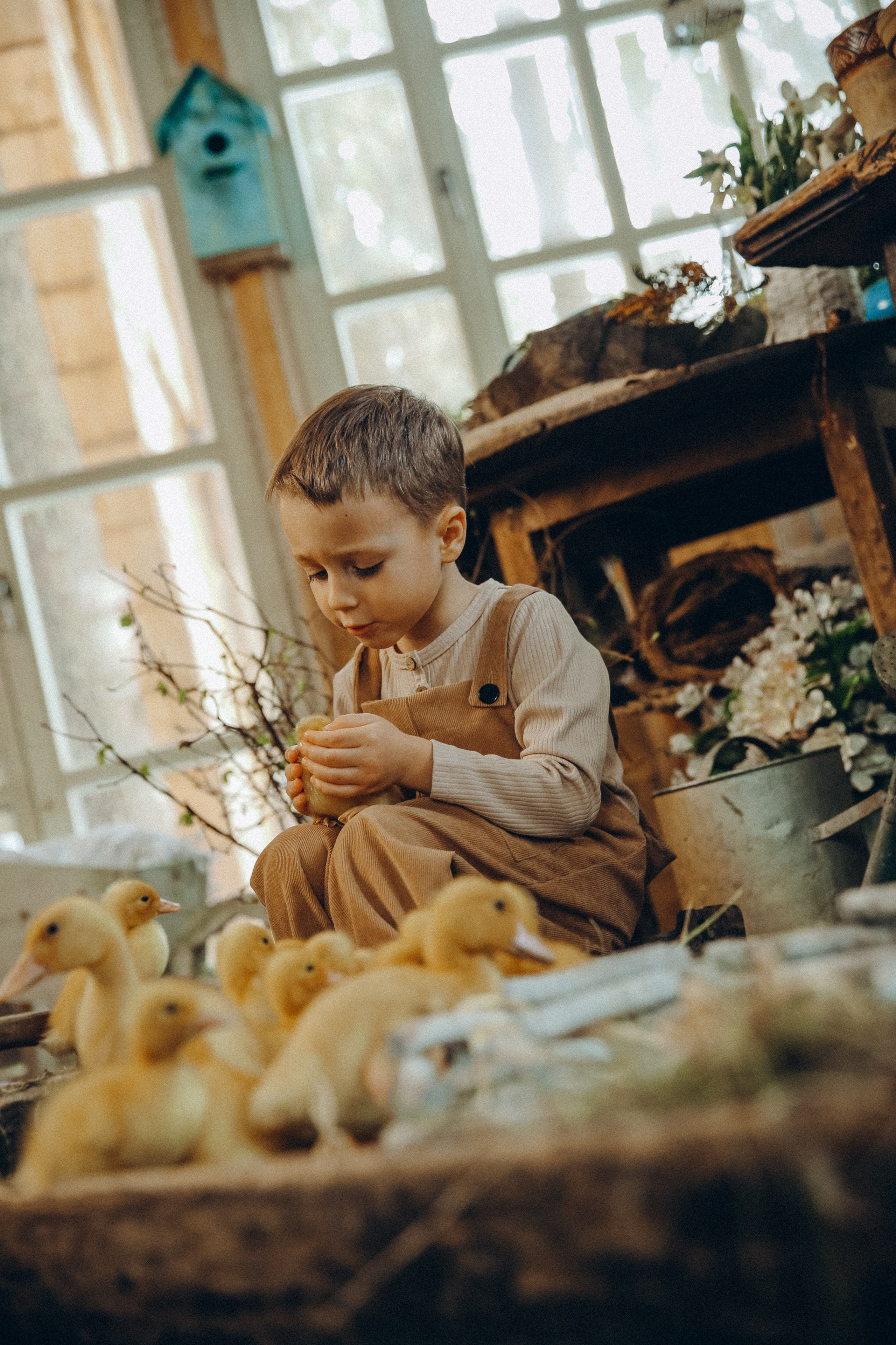 Утиное счастье. Я Лена — семейный фотограф в стиле Лайф Москва и Подмосковья: Балашиха, Пушкино, Щелково, Домодедово, Дмитров. Я за эмоции и любовь