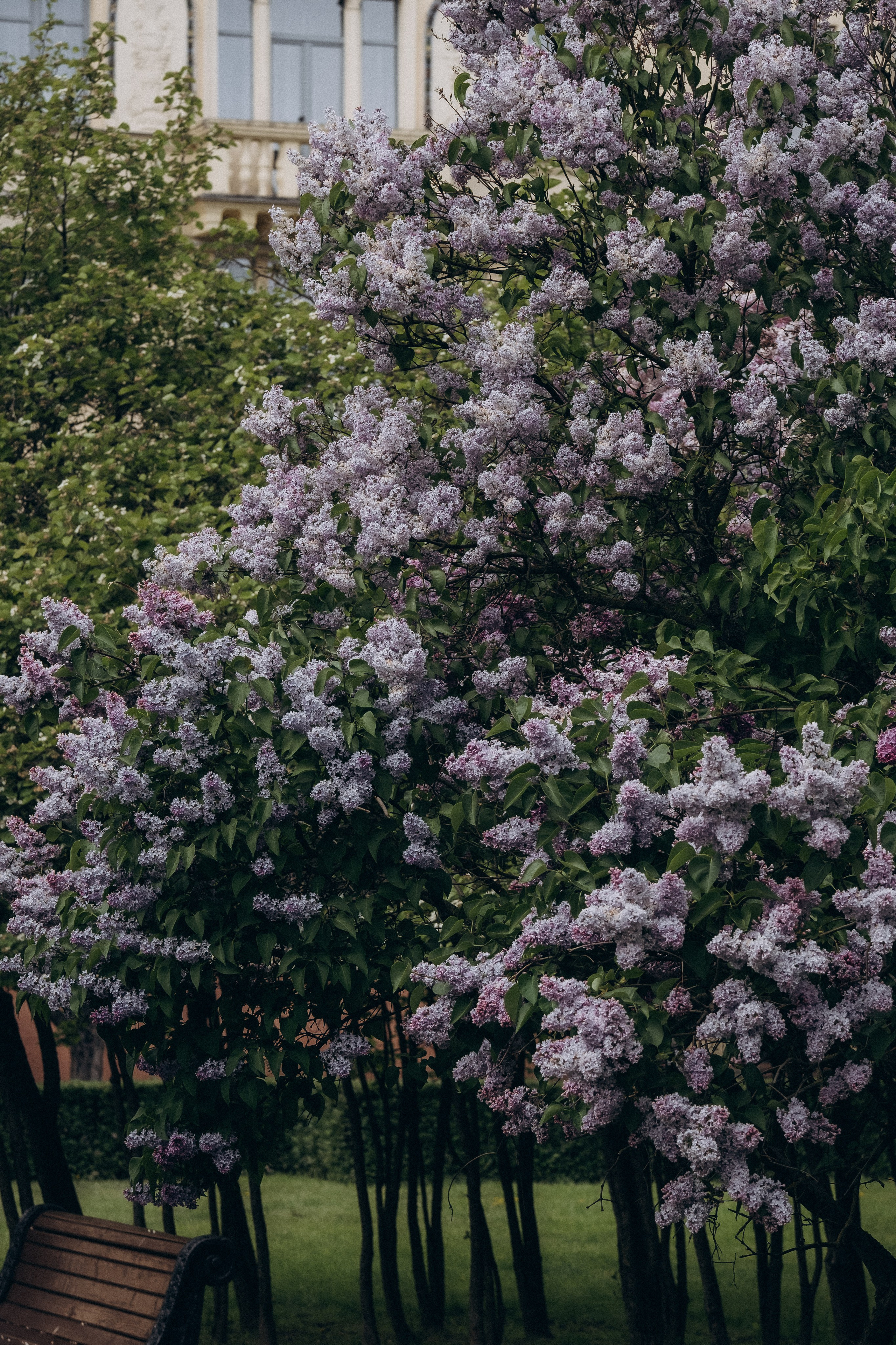 ПРОГУЛКА В МИНСКЕ. Профессиональный фотограф, Санкт-Петербург — Виктория Богомолова