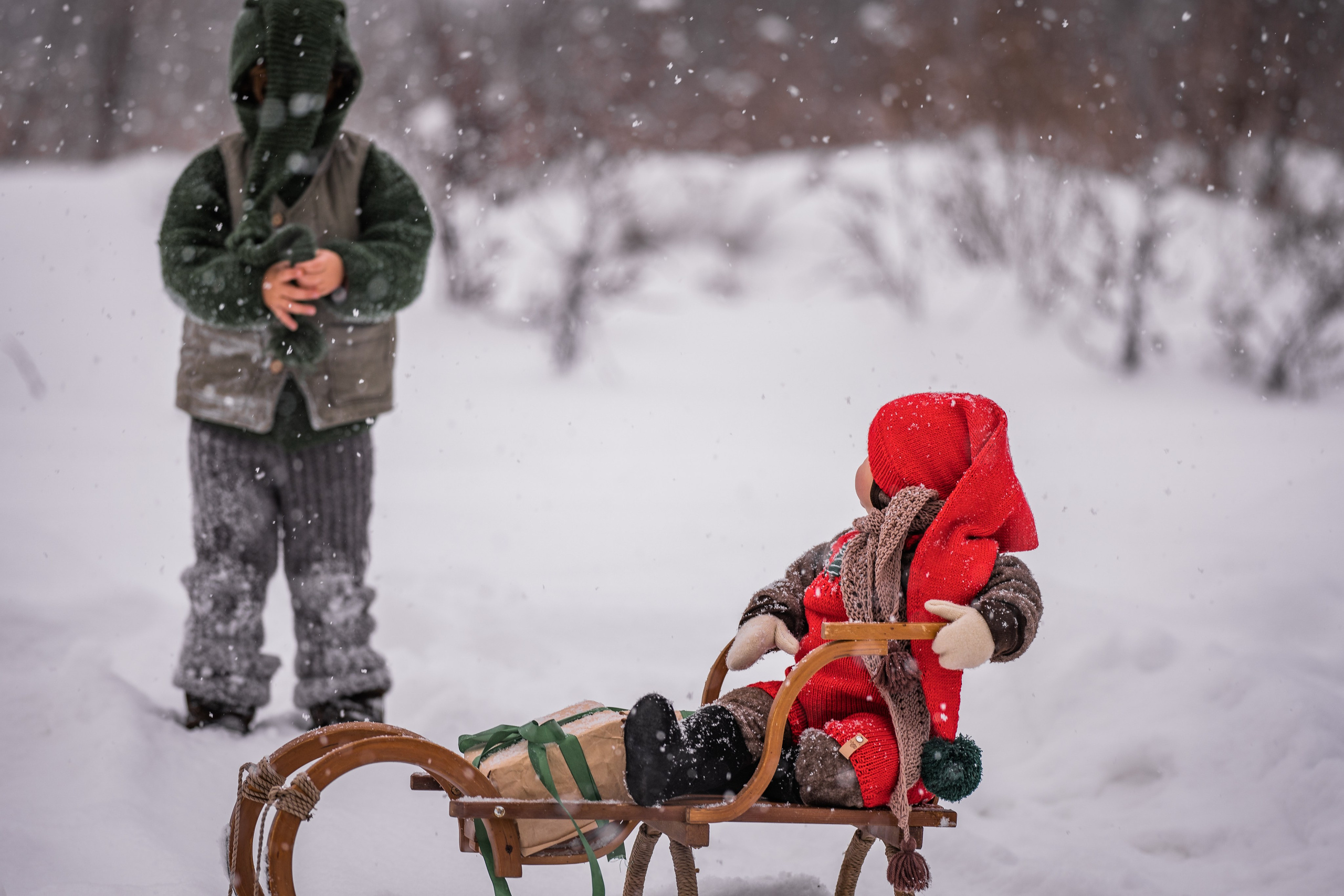 Снежная прогулка на санках. Семейный фотограф Ефремова Виктория