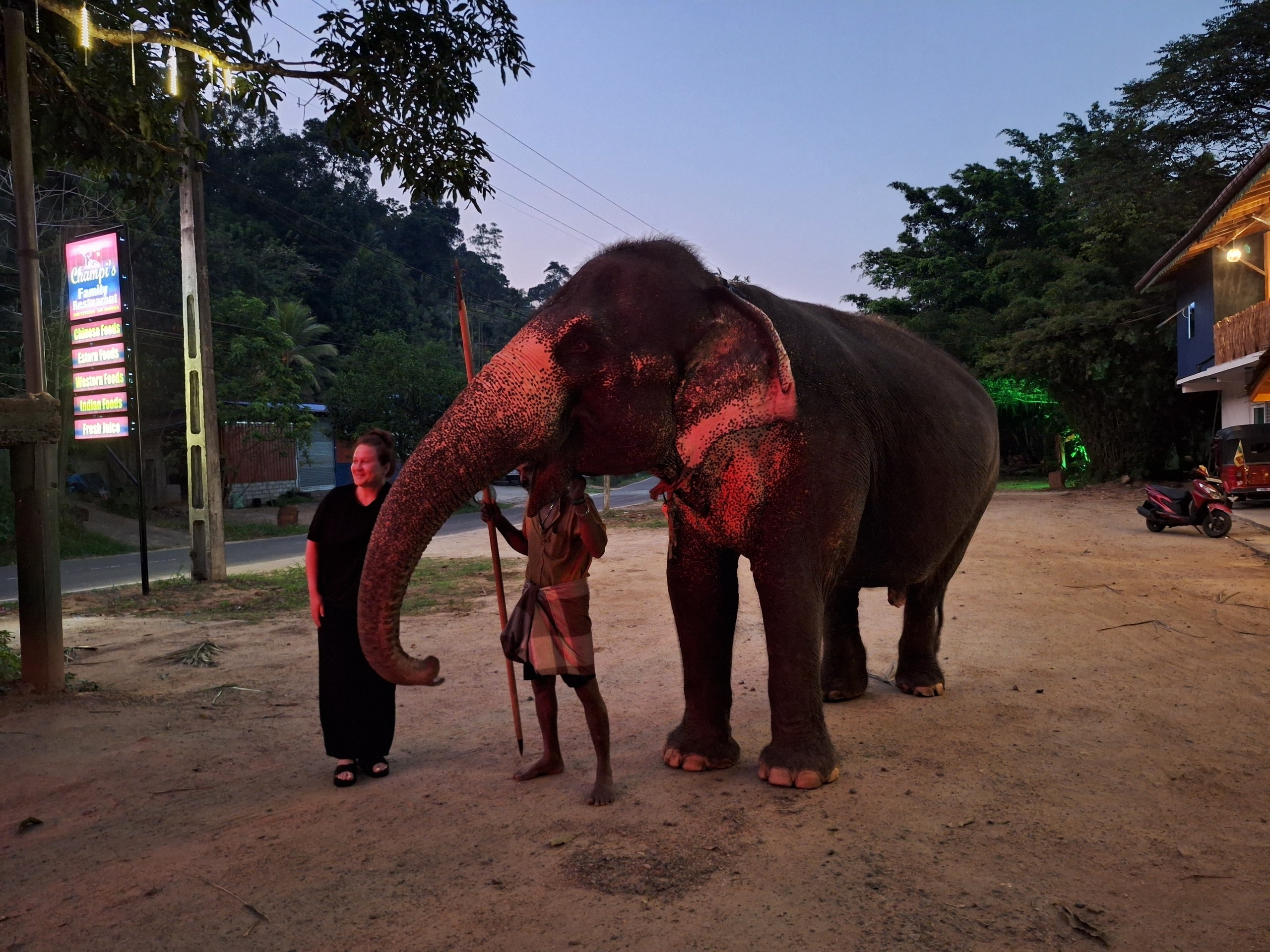 Шри-Ланка | 31.01 — 10.02.2025. Галерея Фантим