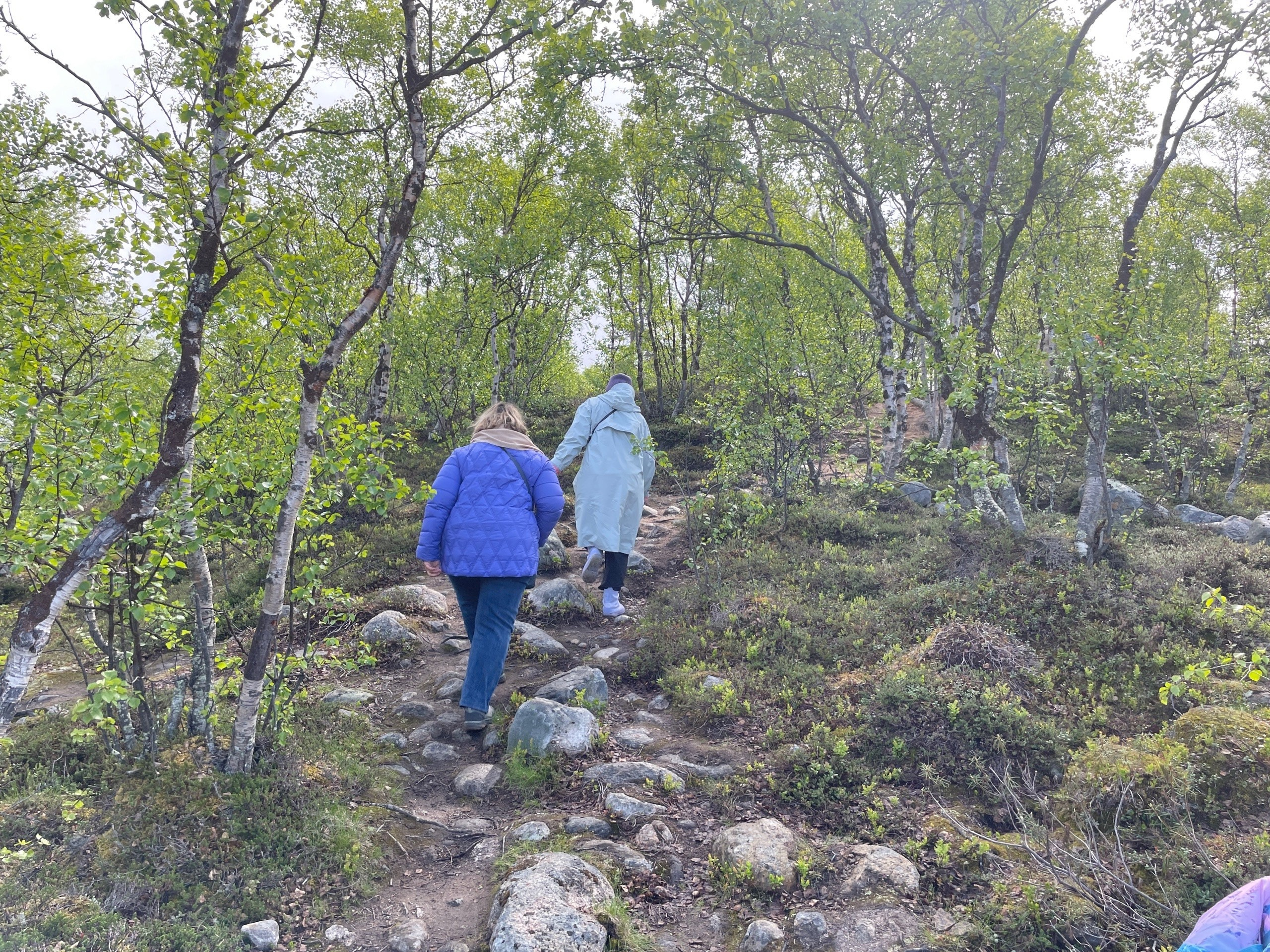 Мурманск | 20-22.06.2025. Галерея Фантим