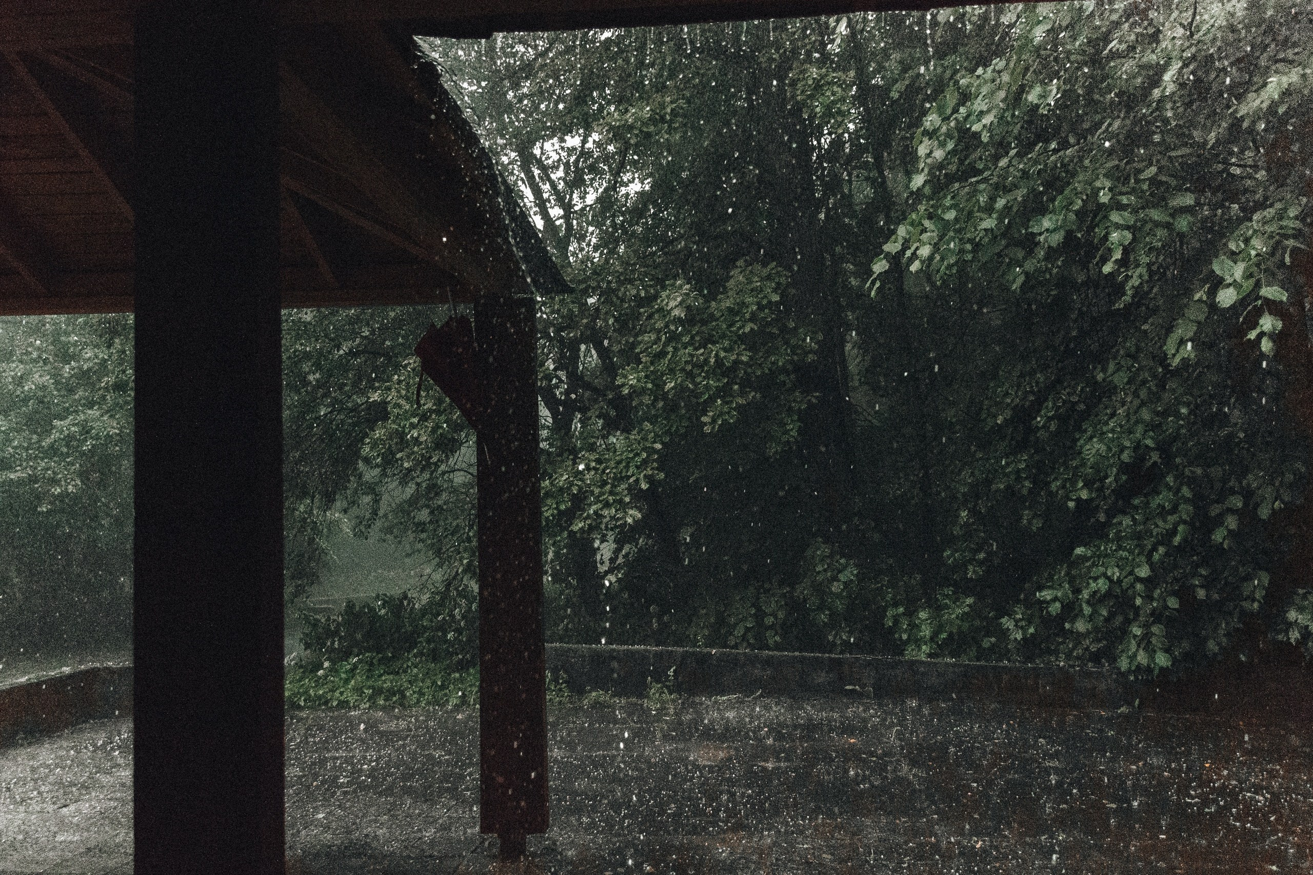 Шашлыки с ночевкой | 20-21.06.20. Галерея Фантим