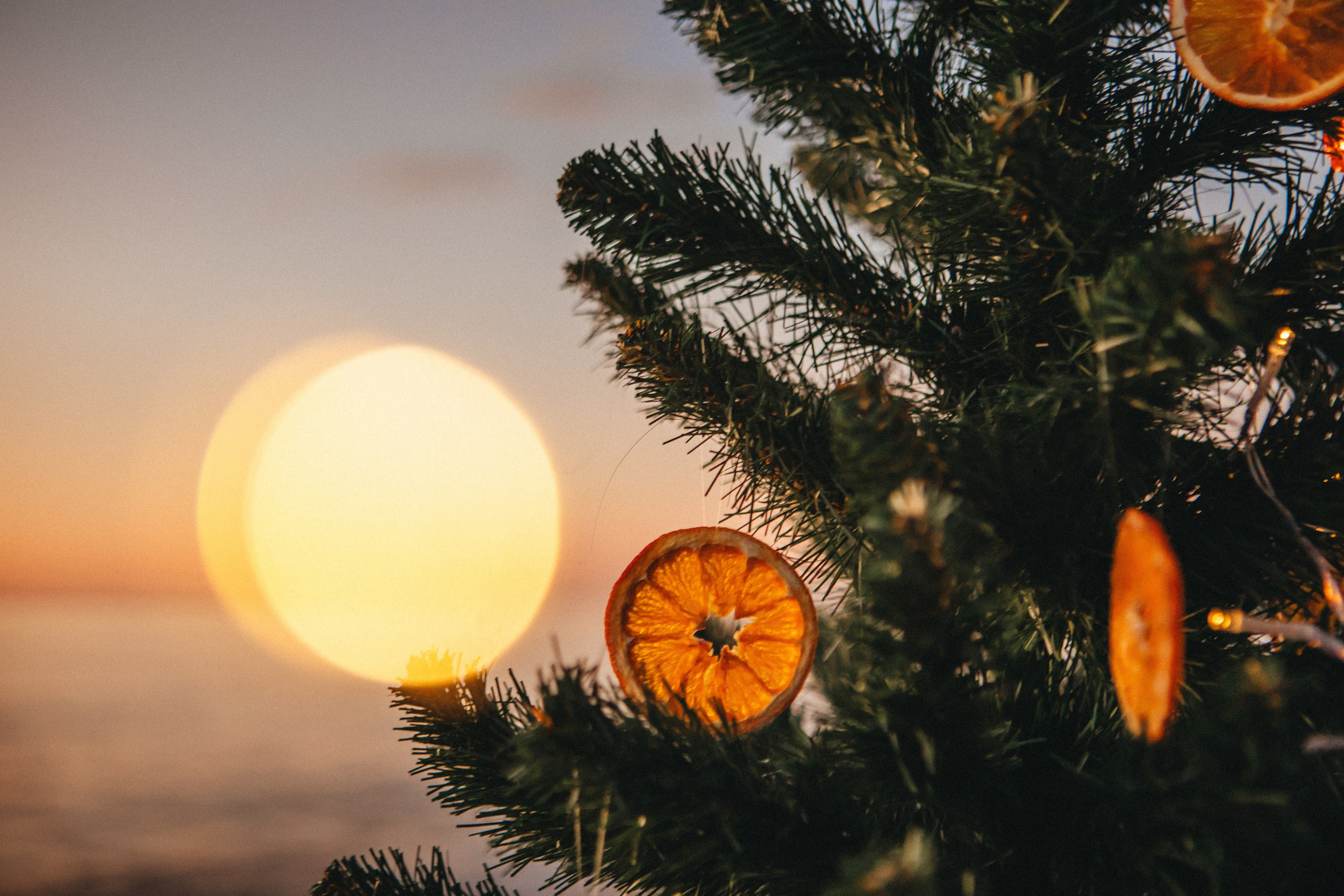 Новый год на море. Семейный и свадебный фотограф Сочи Адлер Сириус Красная поляна