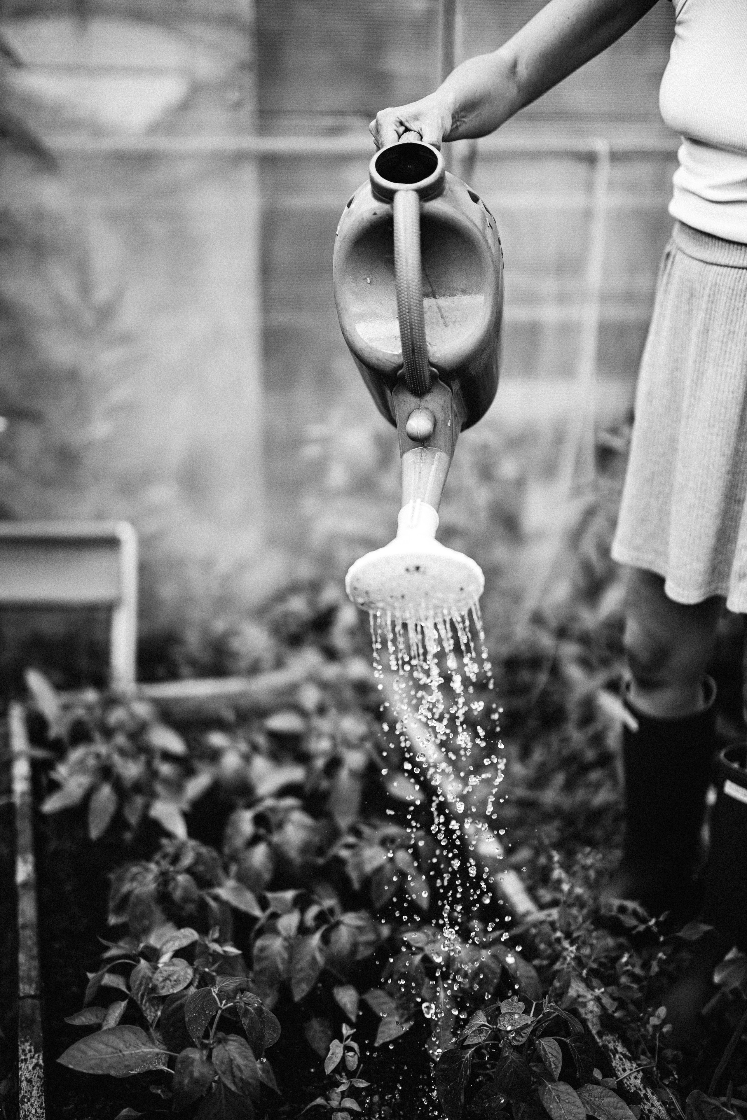 Обжитое. Daria Chigintseva Photographer