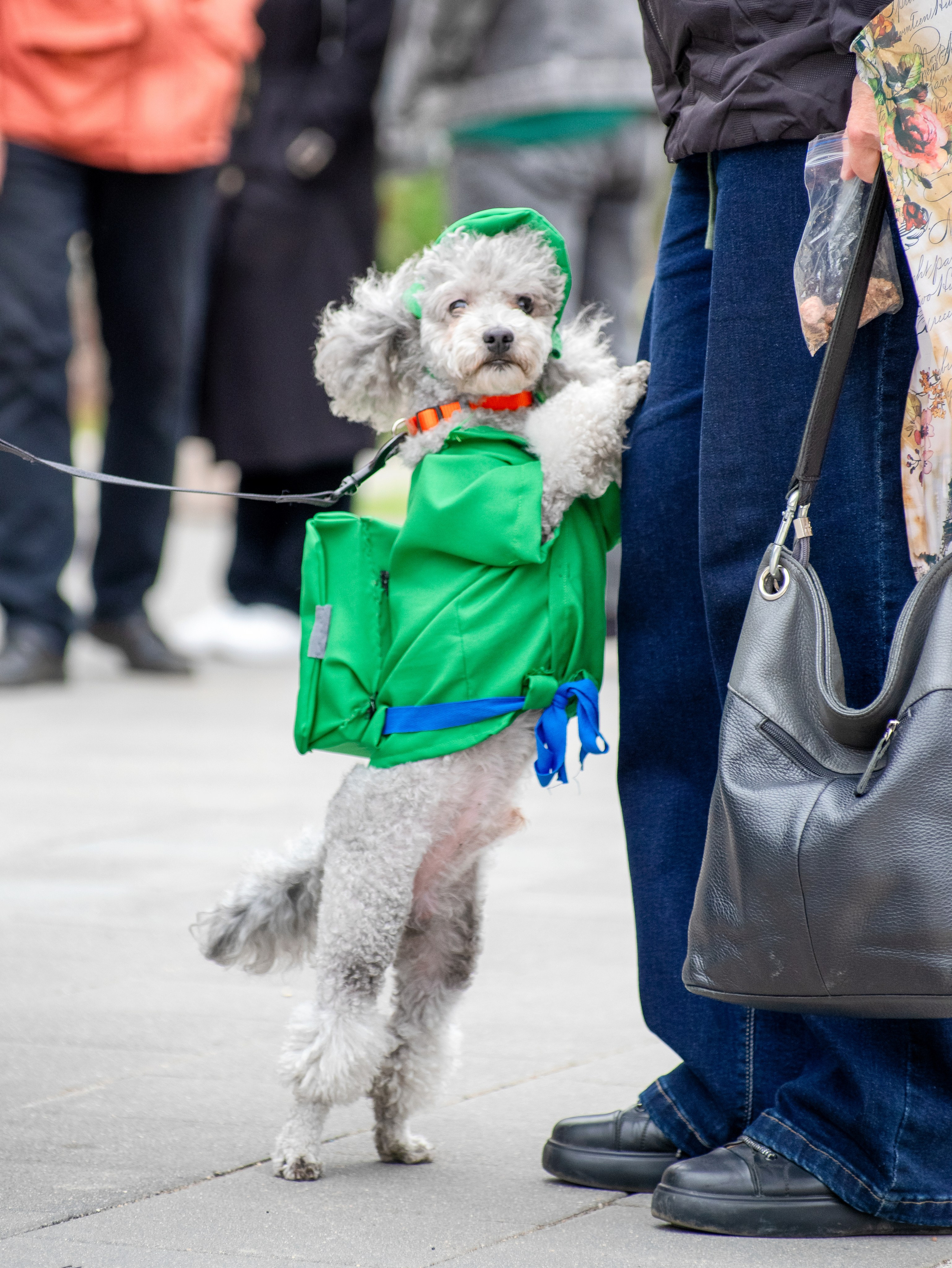 Истории. Фотограф Сергей Мосевнин