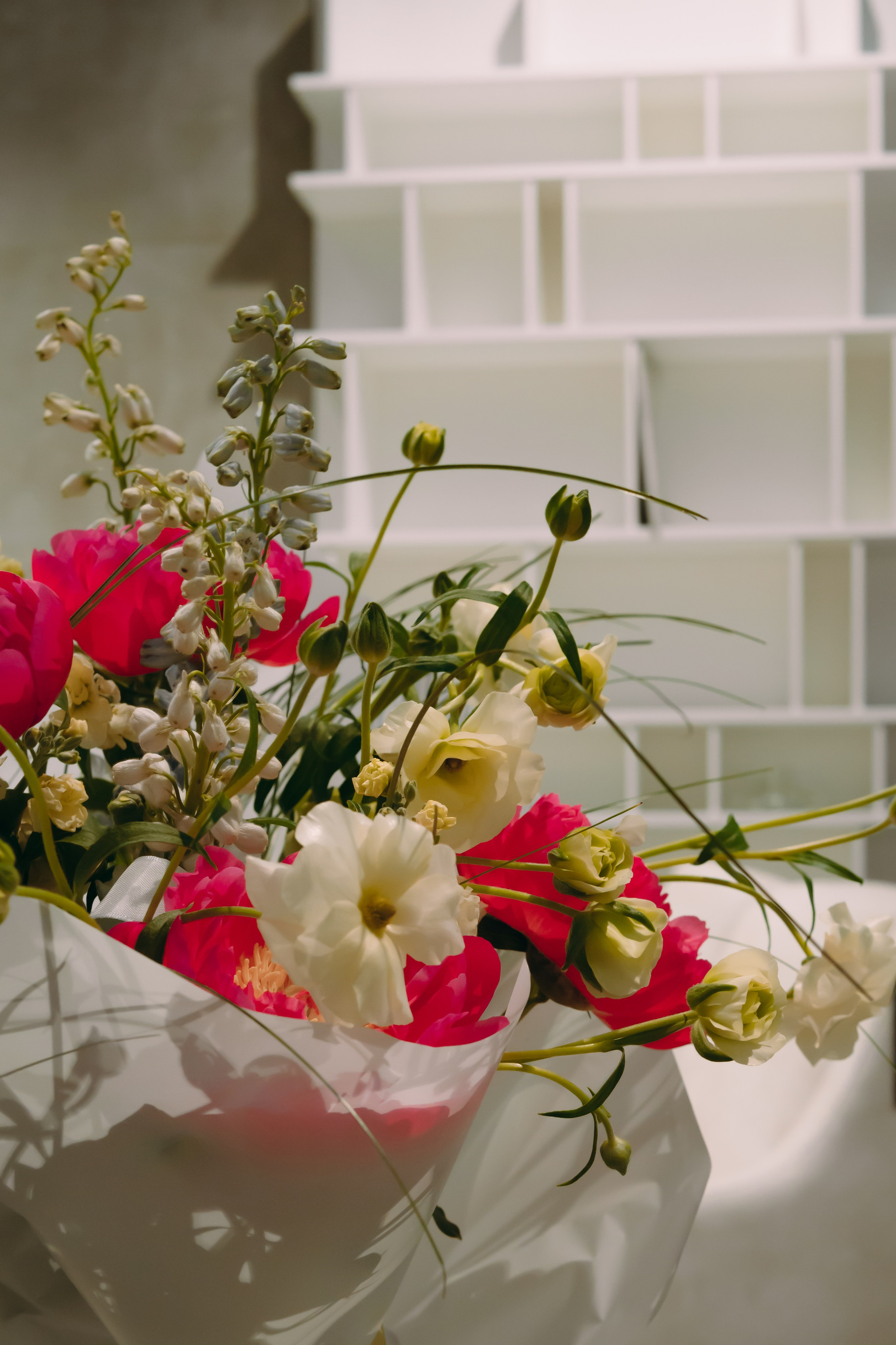 Мастер-Класс BoConcept. Фотограф-анималист Ксения Воробьева, Москва