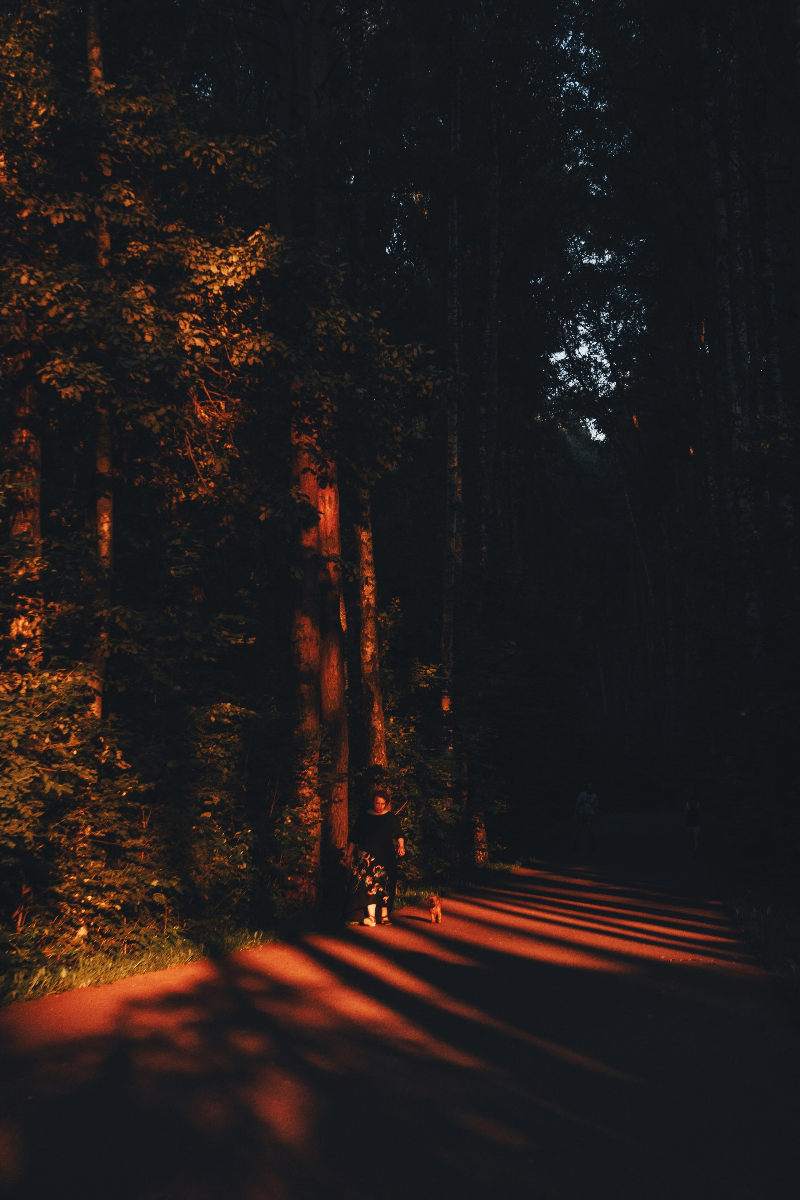 Катя и Яшма. Фотограф-анималист Ксения Воробьева, Москва