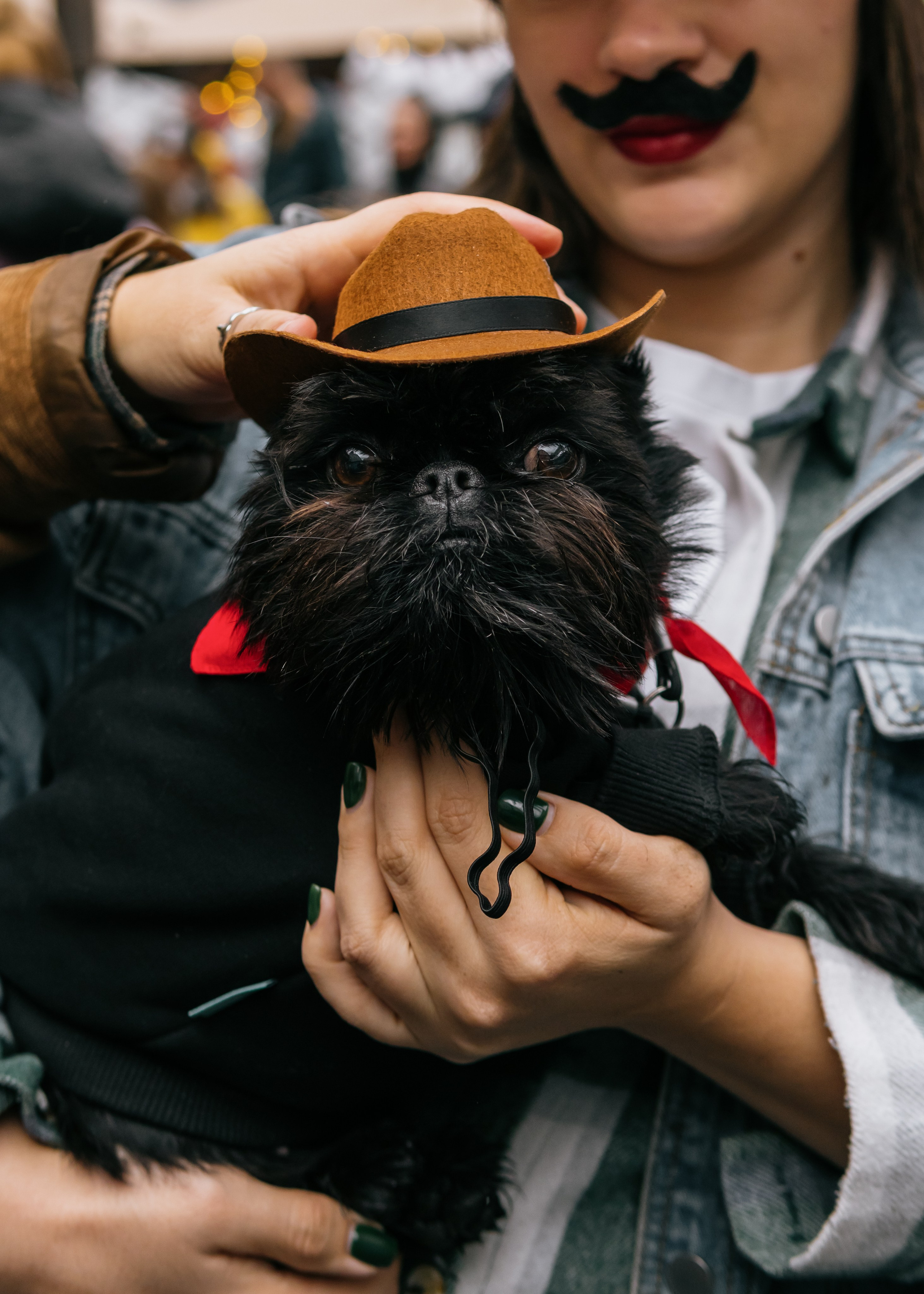 Тематическая встреча породников «Griffween». Фотограф-анималист Ксения Воробьева, Москва