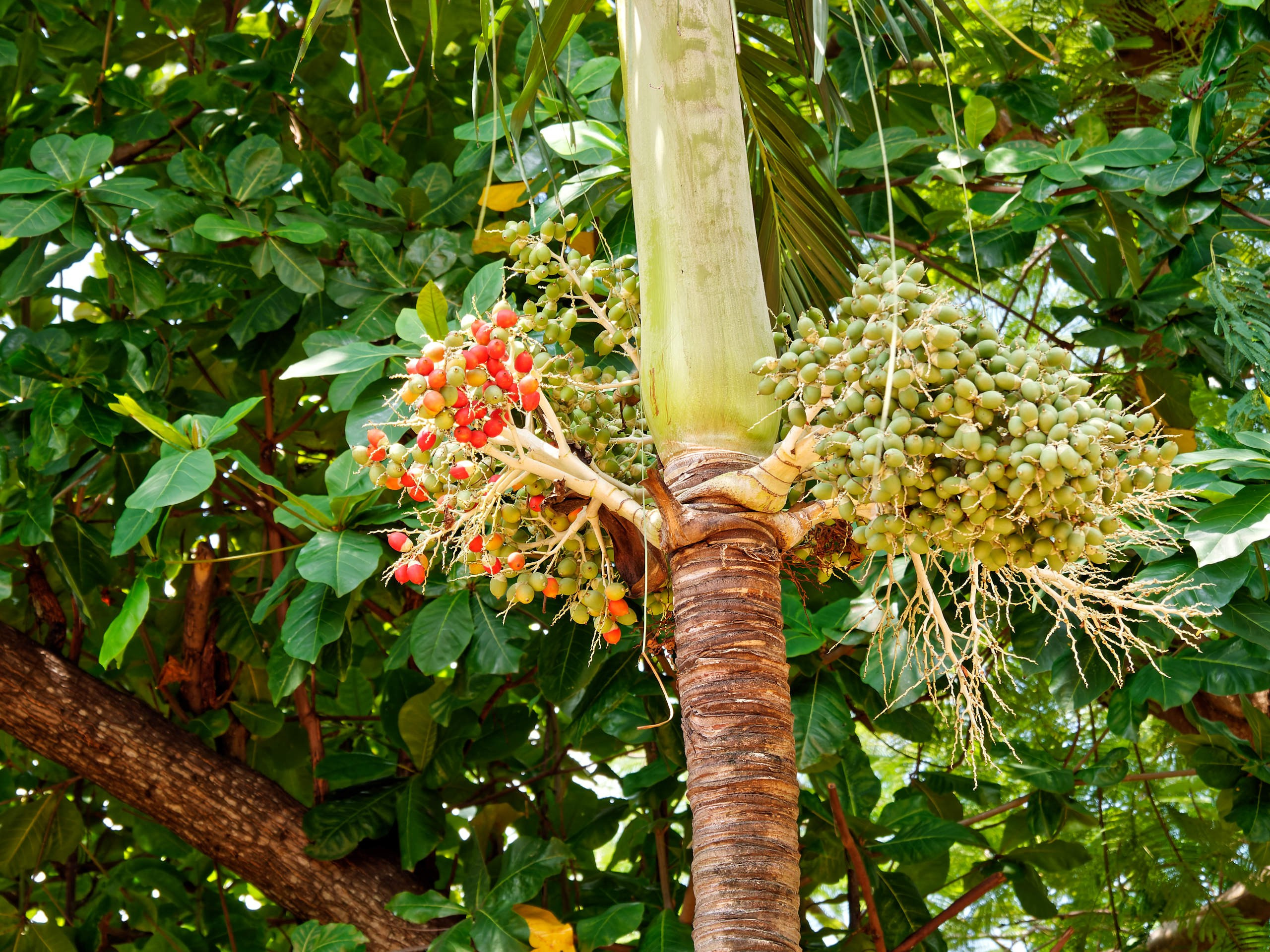 Нячанг 2023. Избранные фотографии