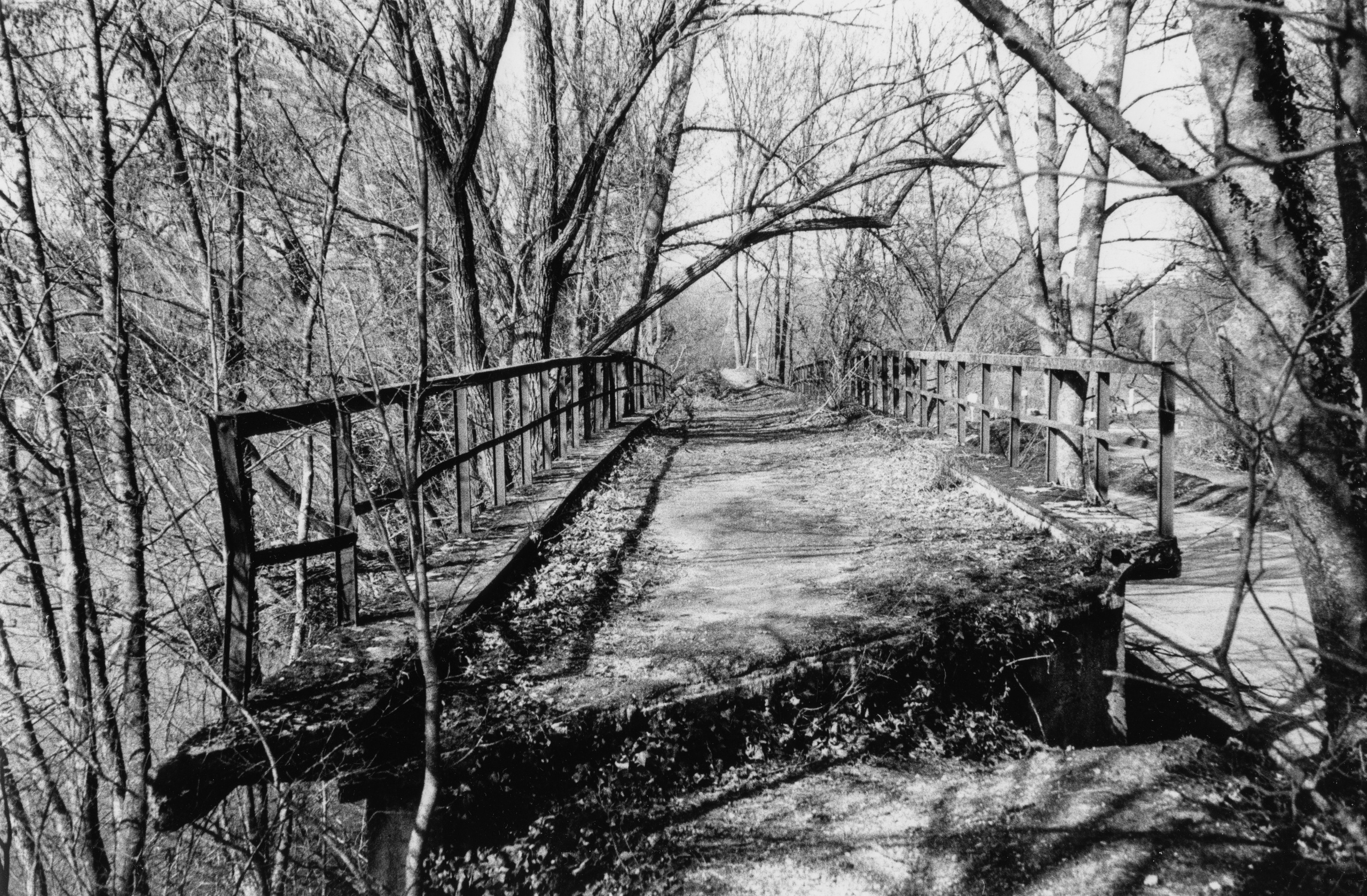 Prints. Maria Abdullaeva