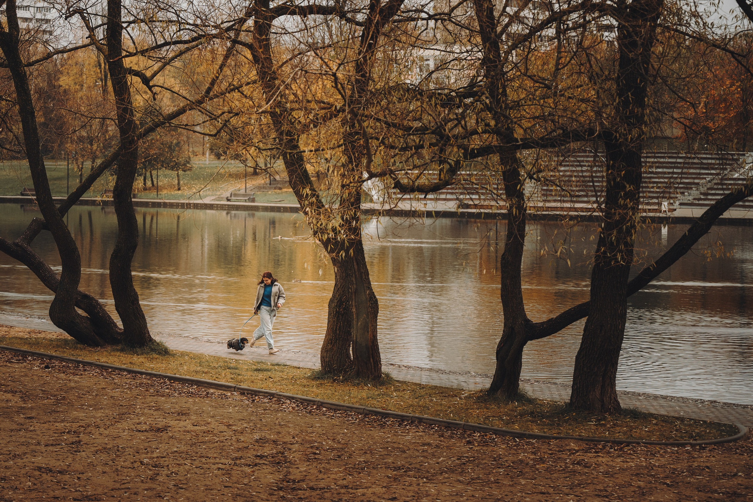 Аня, Оскар и Яр. Семейный фотограф анималист Ананьева Мария — Москва