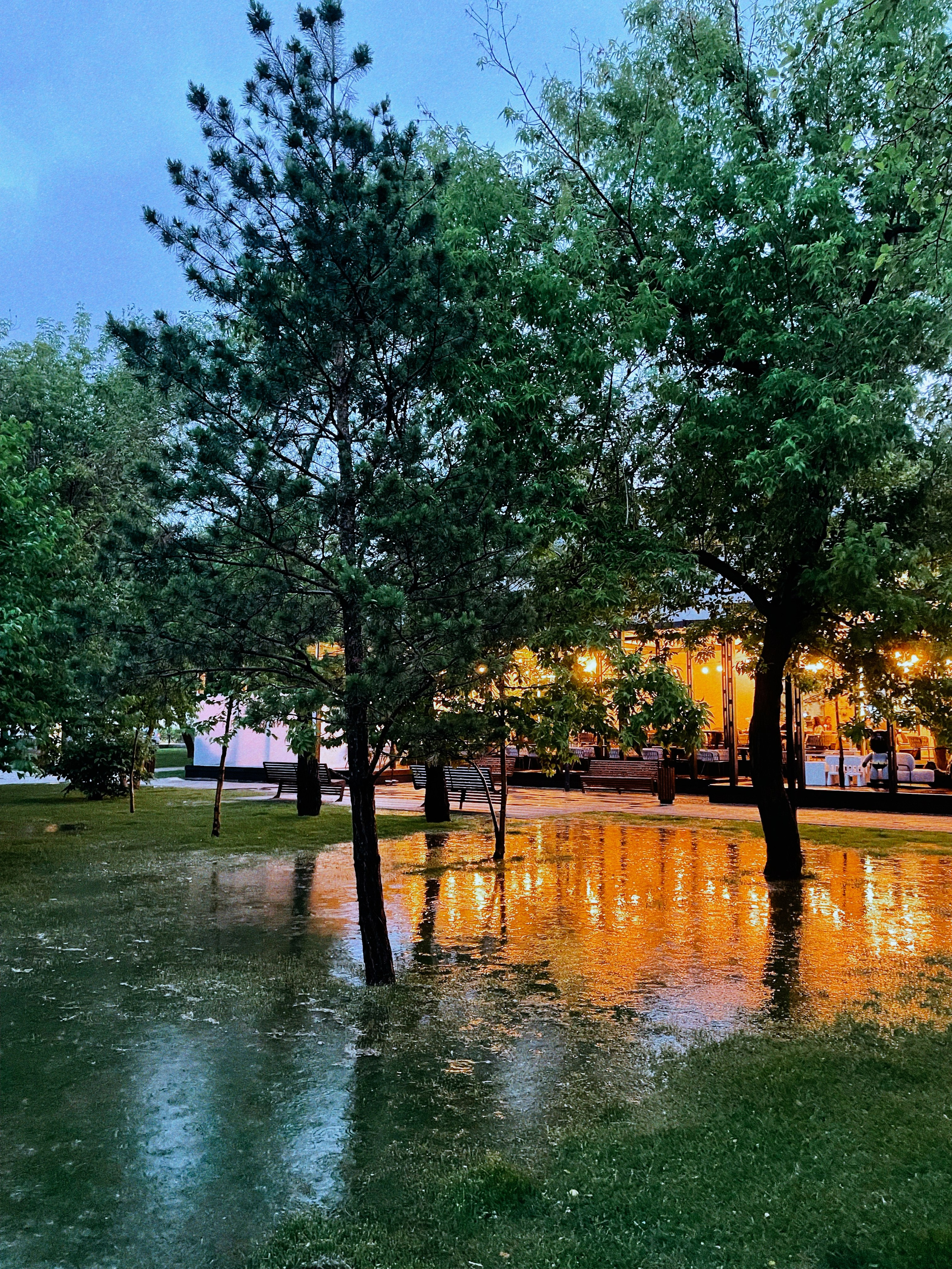 IPhone. Василий Буйлов|Vasilii Builov