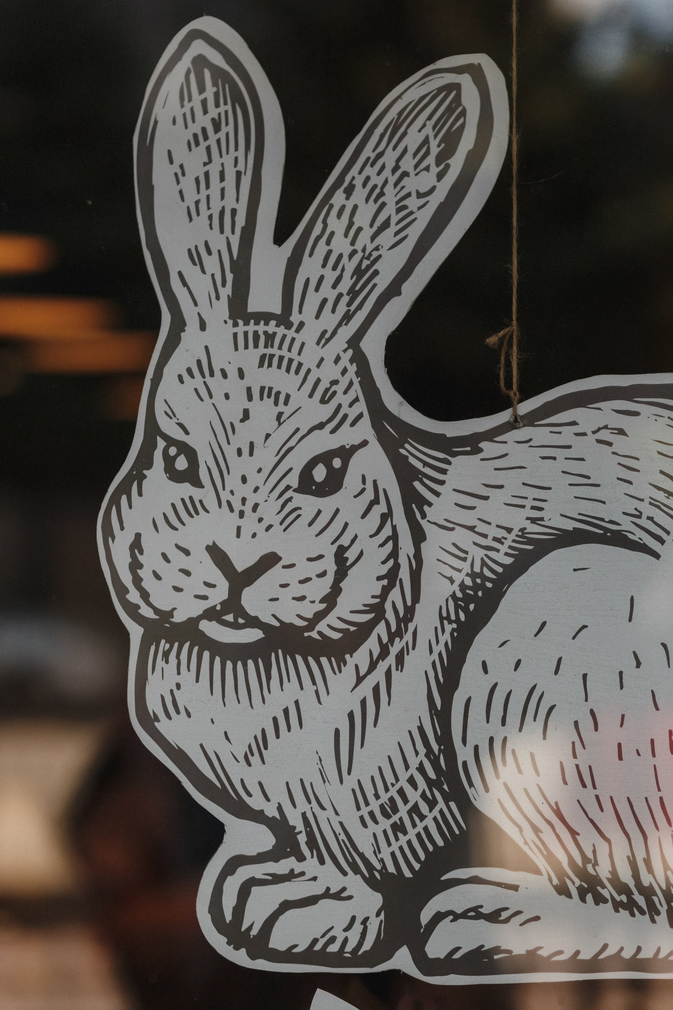 Открытие Сети Магазинов морепродуктов 'Дикая Устрица' в Таганроге. Свадебный и семейный фотограф в Таганроге Бакарюк Антон